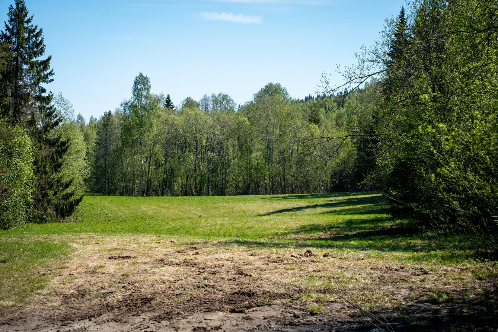 Gård/Skog, Främmerbilla 223, Själevad, Örnsköldsvik