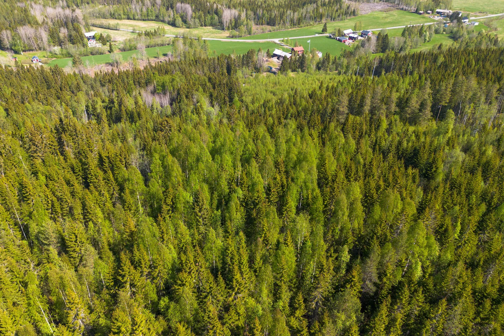 Gård/Skog, Främmerbilla 223, Själevad, Örnsköldsvik