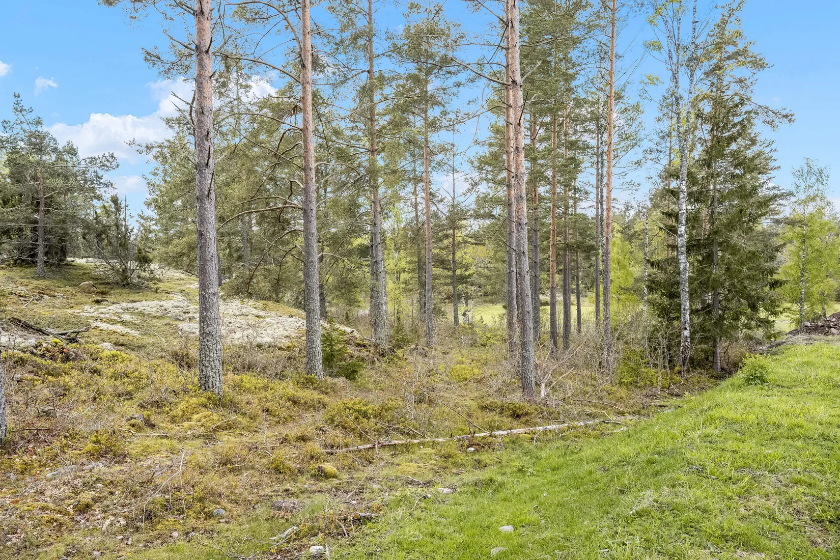 Tomt, Eknäsvägen 2, Åbäcksnäs - Gryts skärgård, Valdemarsvik