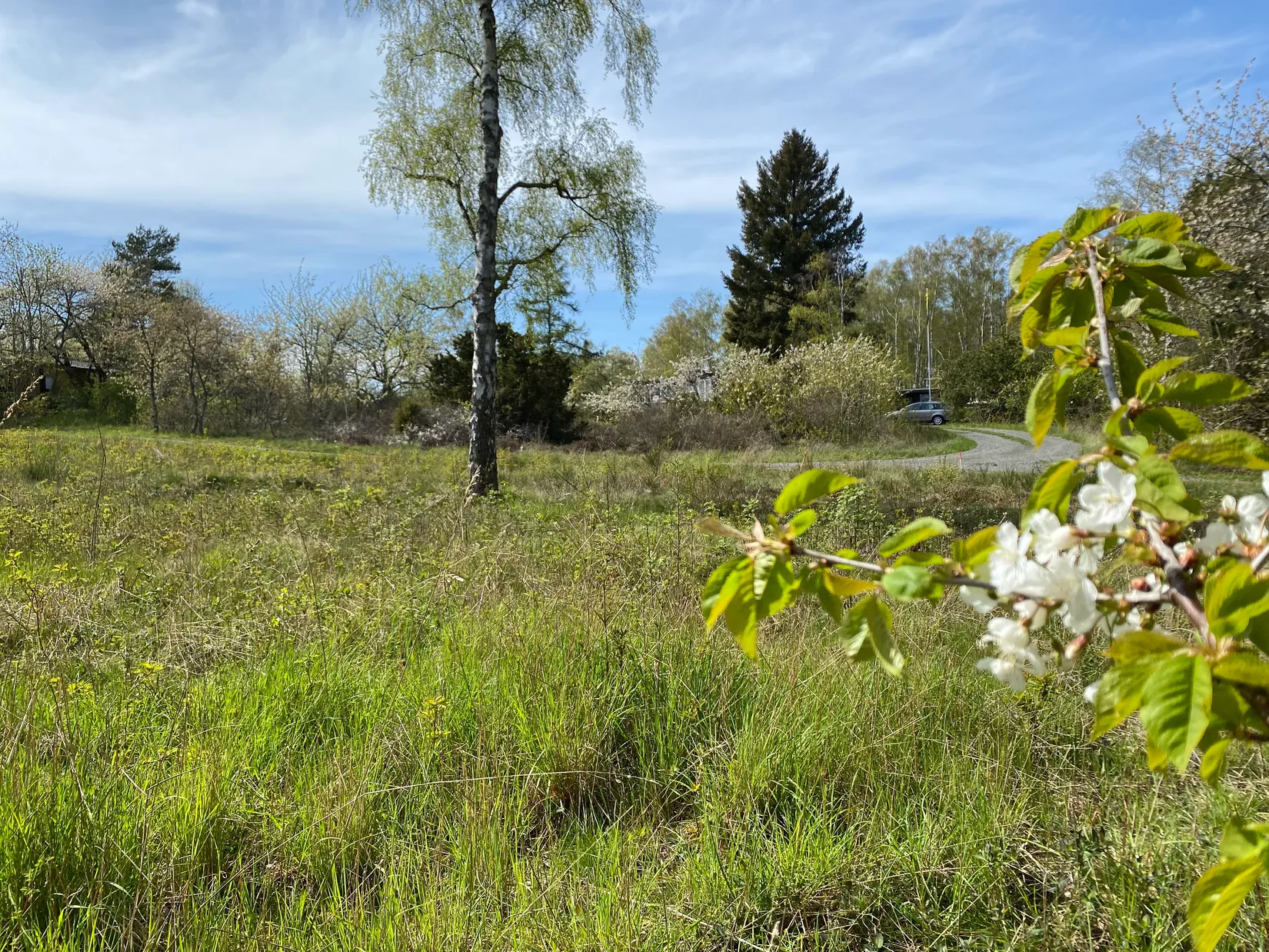Tomt, Mosshallavägen 10, Tobisvik, Simrishamn