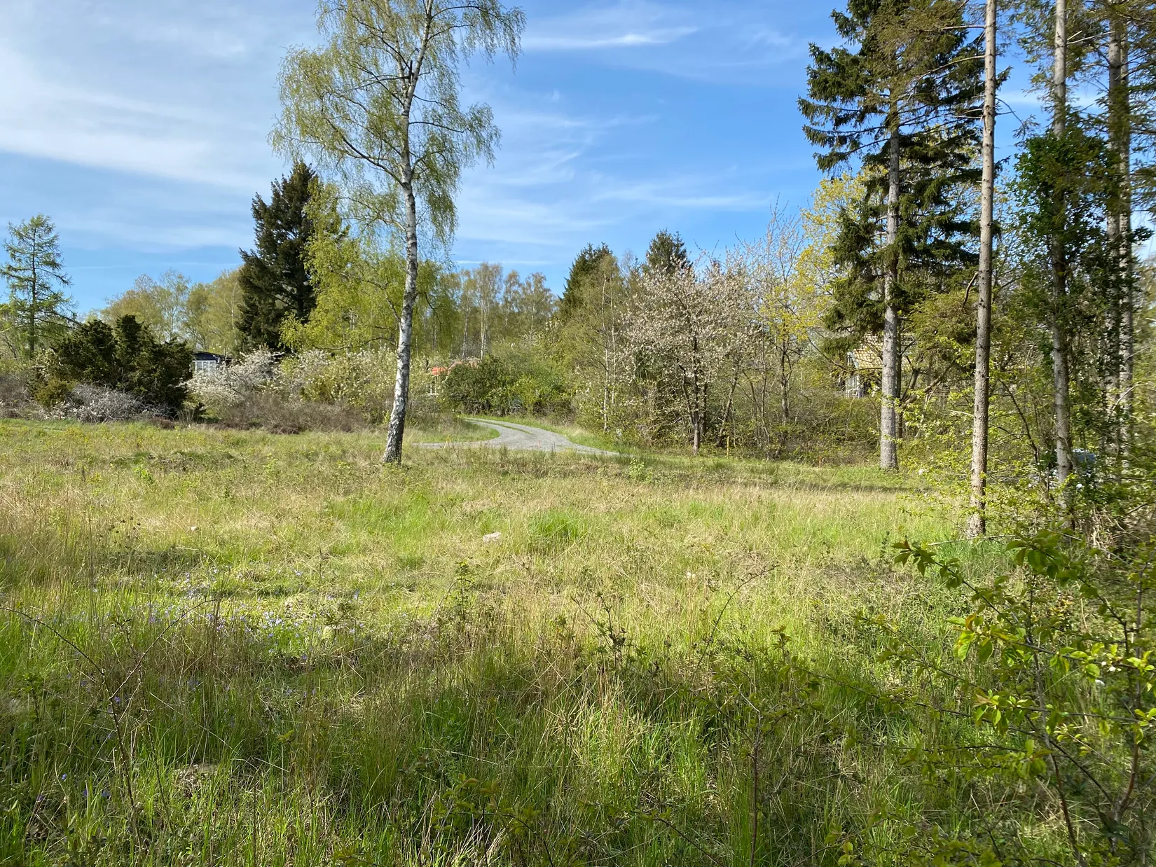 Tomt, Mosshallavägen 10, Tobisvik, Simrishamn