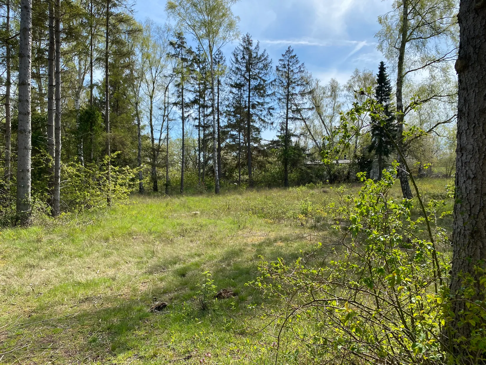 Tomt, Mosshallavägen 10, Tobisvik, Simrishamn