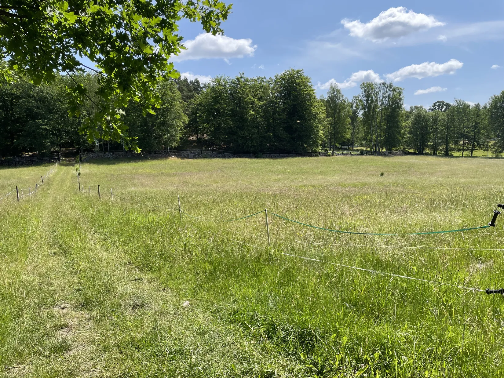 Gård/Skog, KARLSHAMN TORARP 1:6 OCH TORARP 1:8, Torarp, Karlshamn