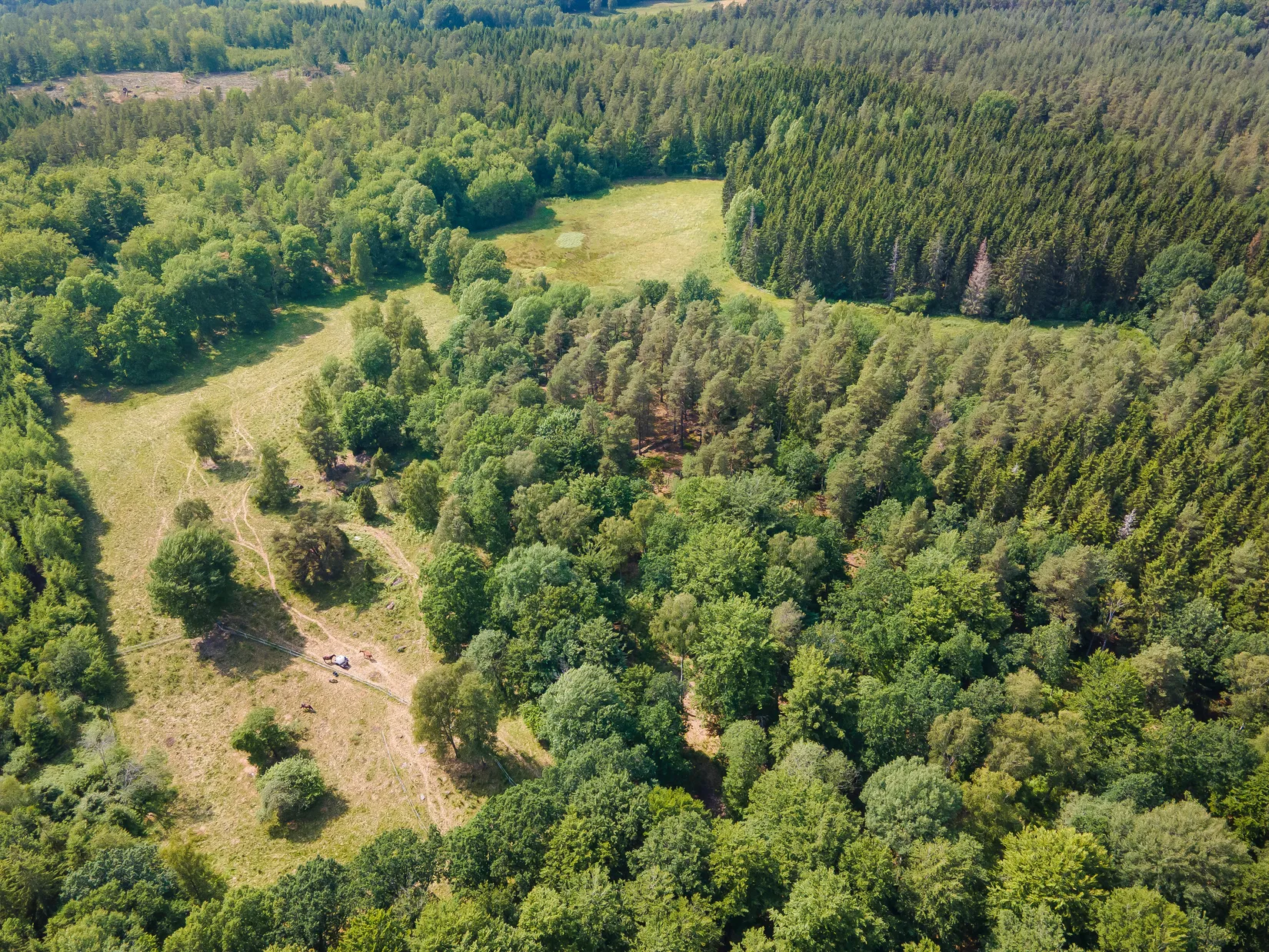 Gård/Skog, KARLSHAMN TORARP 1:6 OCH TORARP 1:8, Torarp, Karlshamn