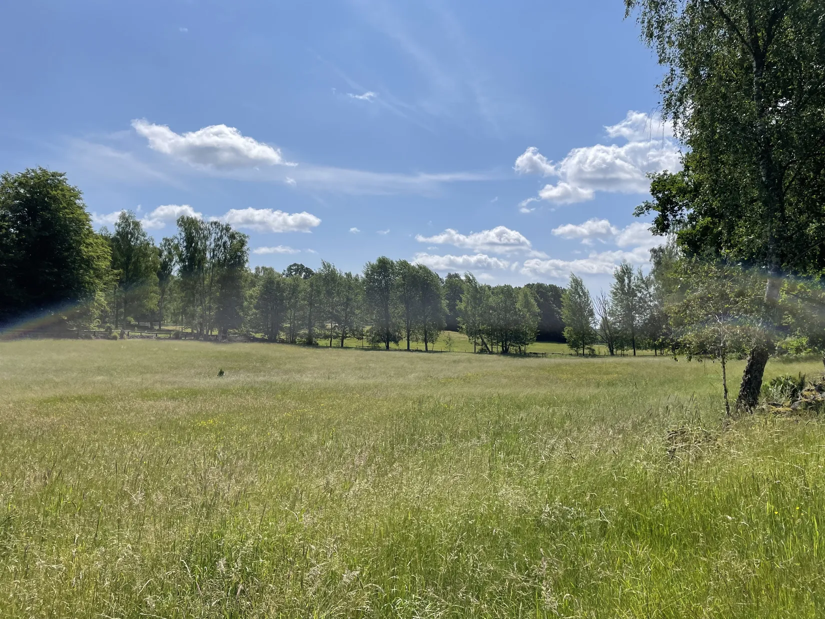 Gård/Skog, KARLSHAMN TORARP 1:6 OCH TORARP 1:8, Torarp, Karlshamn