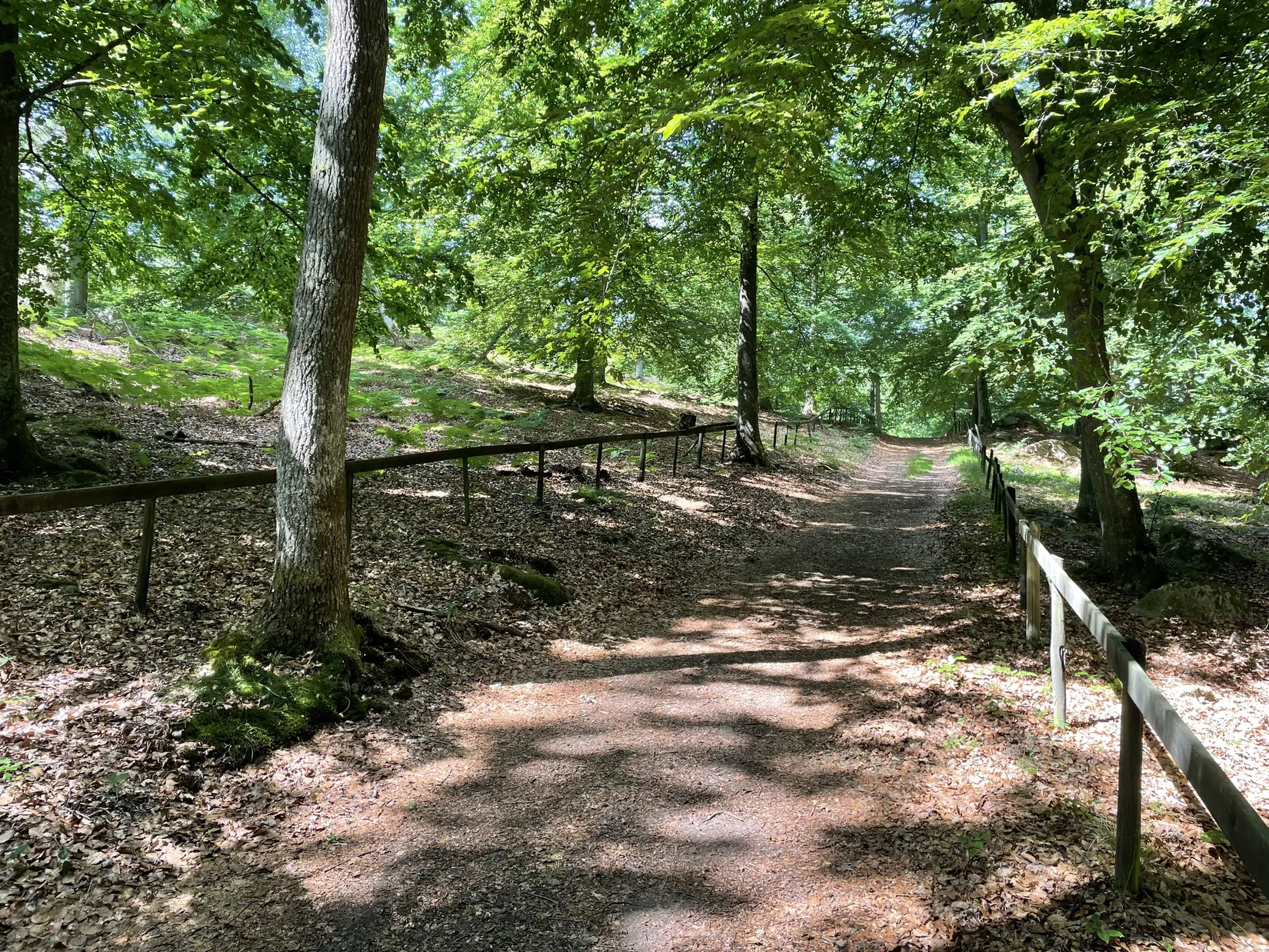 Gård/Skog, KARLSHAMN TORARP 1:6 OCH TORARP 1:8, Torarp, Karlshamn