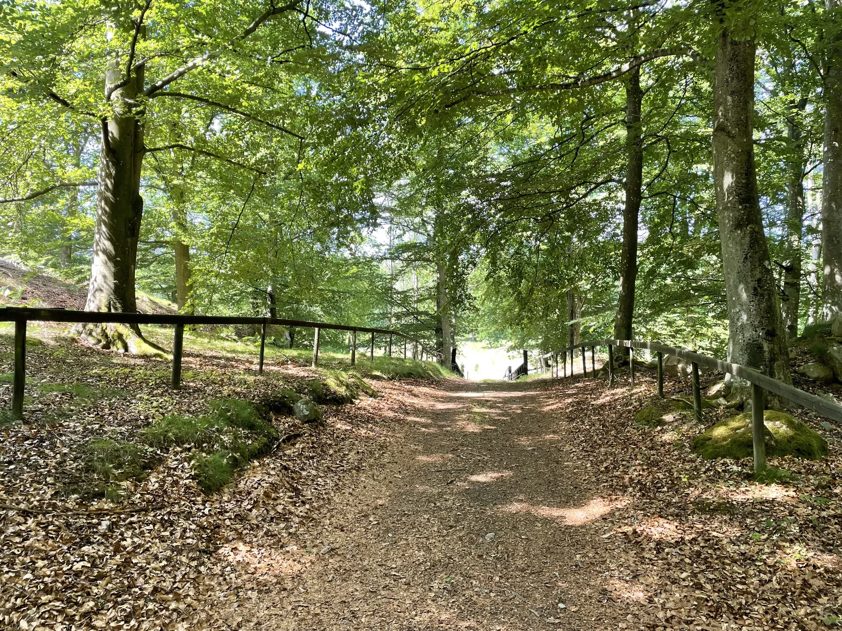 Gård/Skog, KARLSHAMN TORARP 1:6 OCH TORARP 1:8, Torarp, Karlshamn