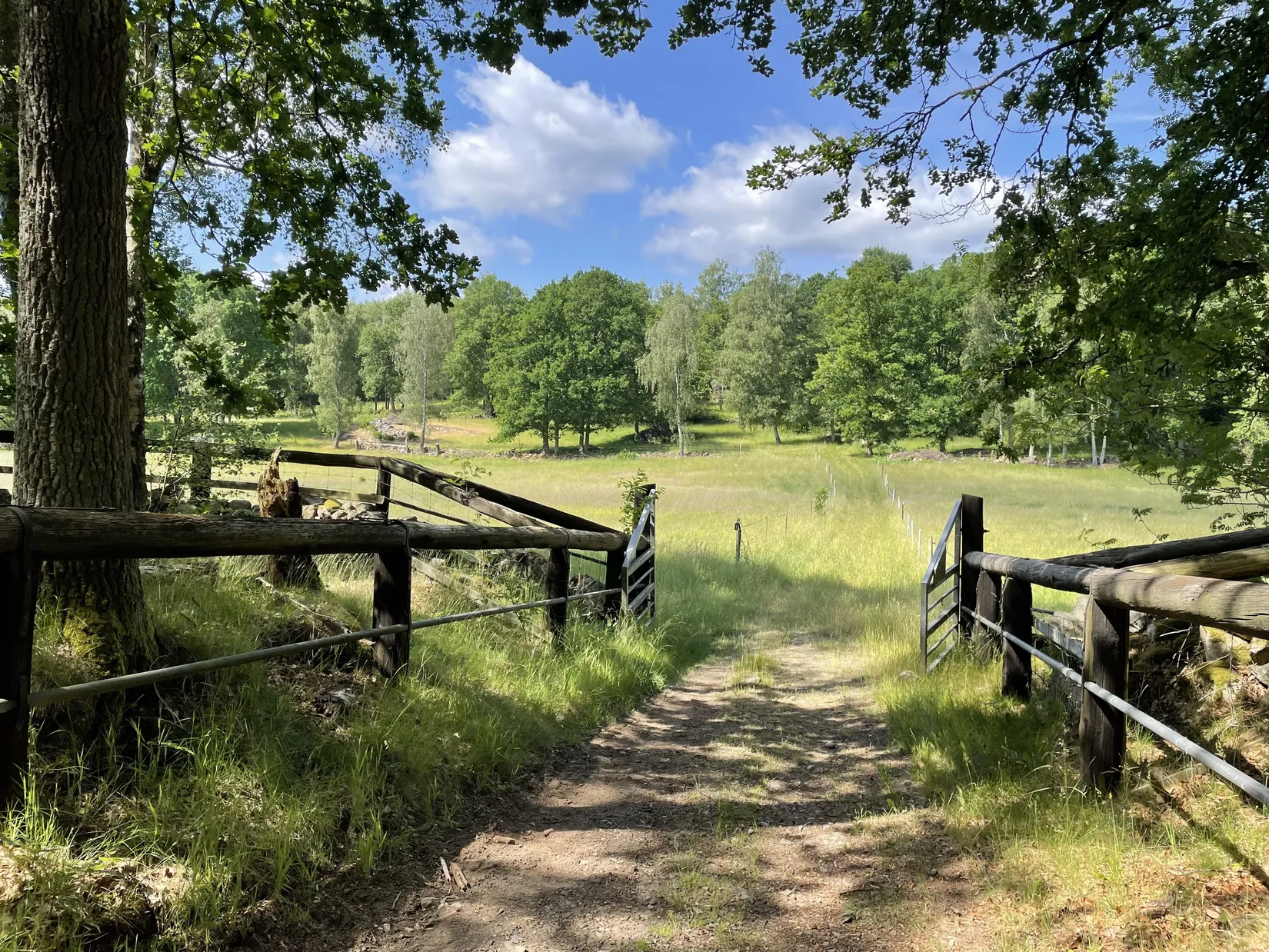 Gård/Skog, KARLSHAMN TORARP 1:6 OCH TORARP 1:8, Torarp, Karlshamn