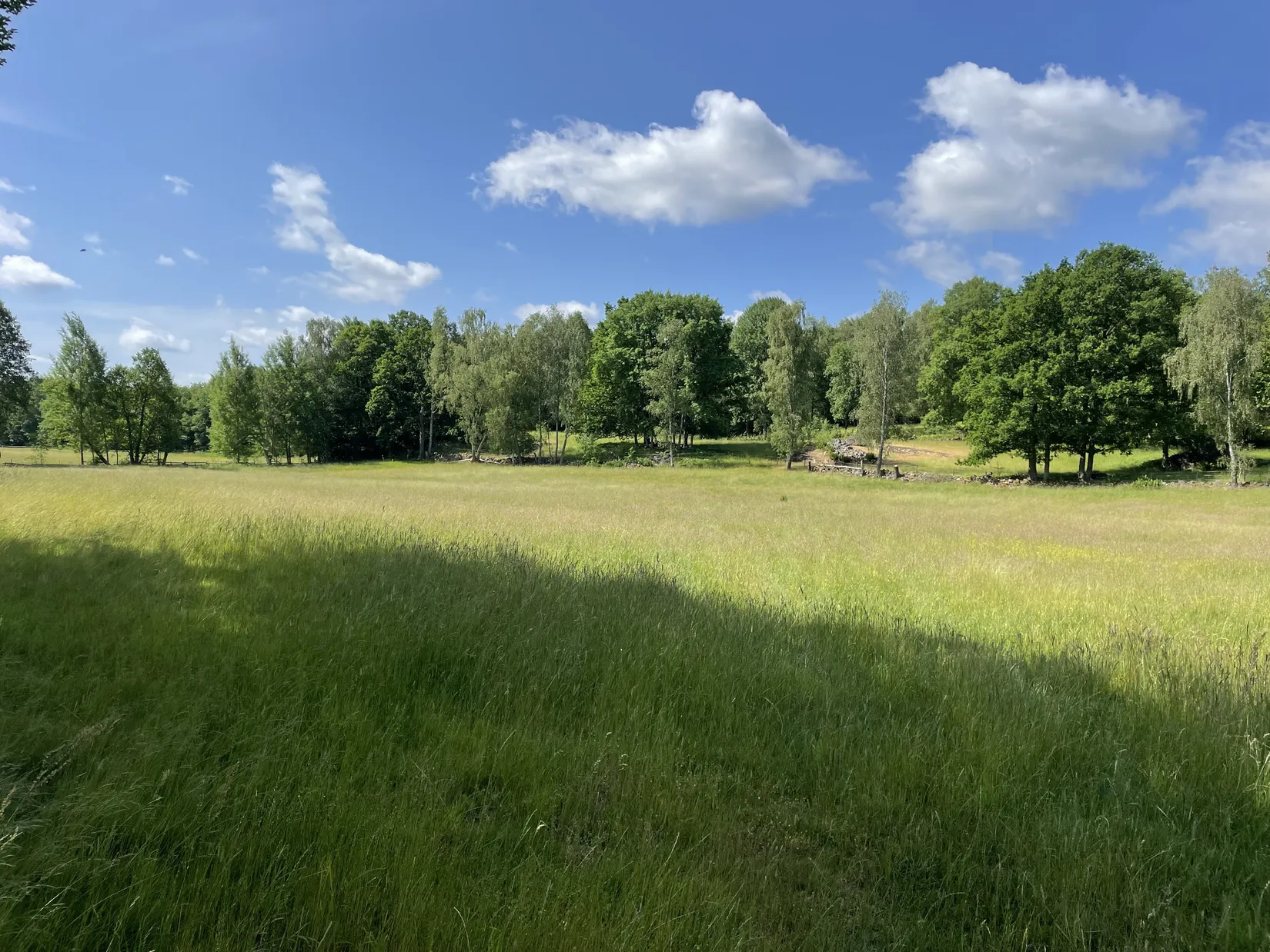 Gård/Skog, KARLSHAMN TORARP 1:6 OCH TORARP 1:8, Torarp, Karlshamn