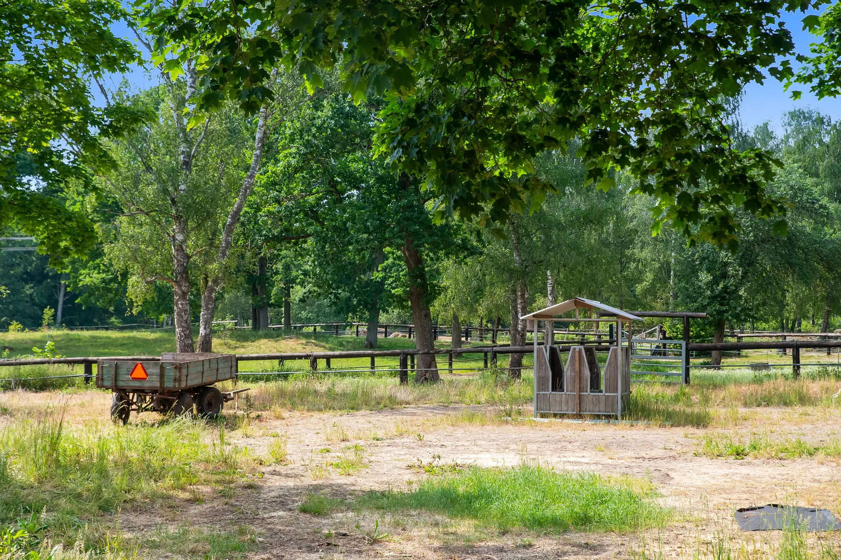 Gård/Skog, KARLSHAMN TORARP 1:6 OCH TORARP 1:8, Torarp, Karlshamn