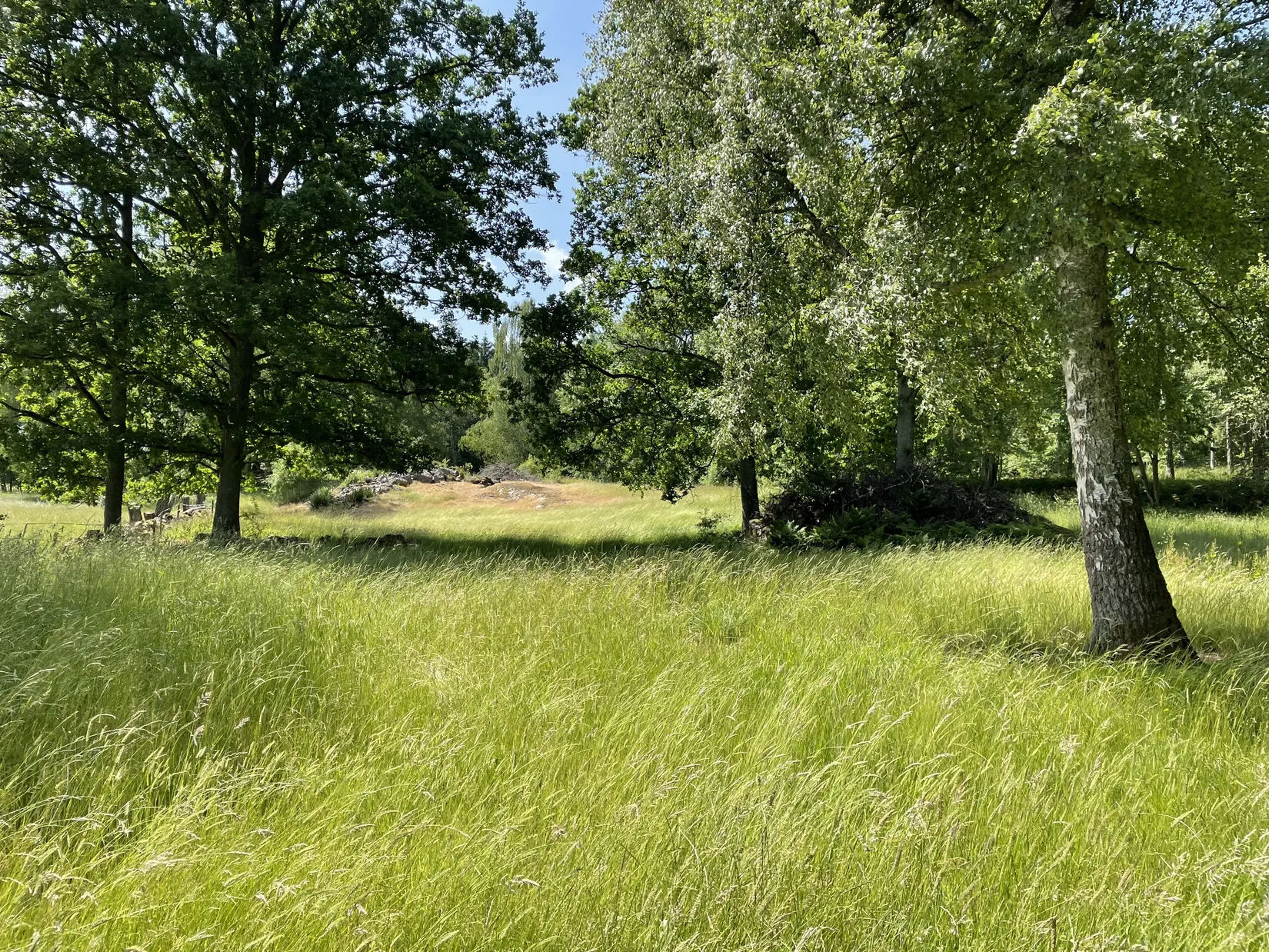 Gård/Skog, KARLSHAMN TORARP 1:6 OCH TORARP 1:8, Torarp, Karlshamn
