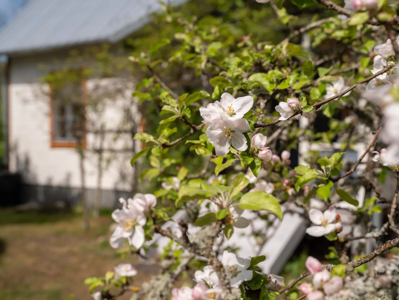 Villa, Sanda Botvide 201, Sanda, Gotland