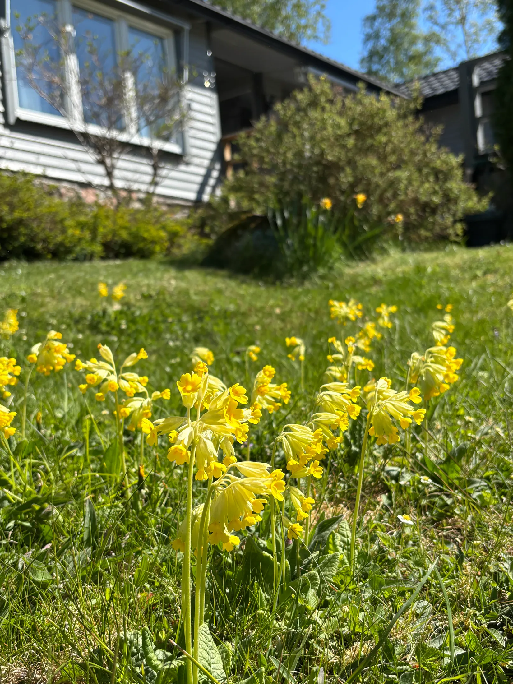 Fritidshus, Apelvägen 1, Strängnäs