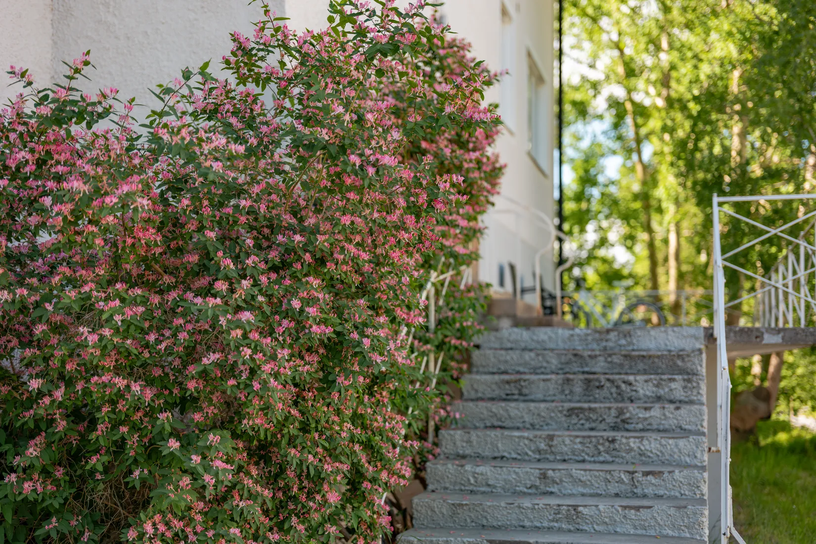 Bostadsrätt, Oskarsvägen 80, Mosstorp, Lidingö