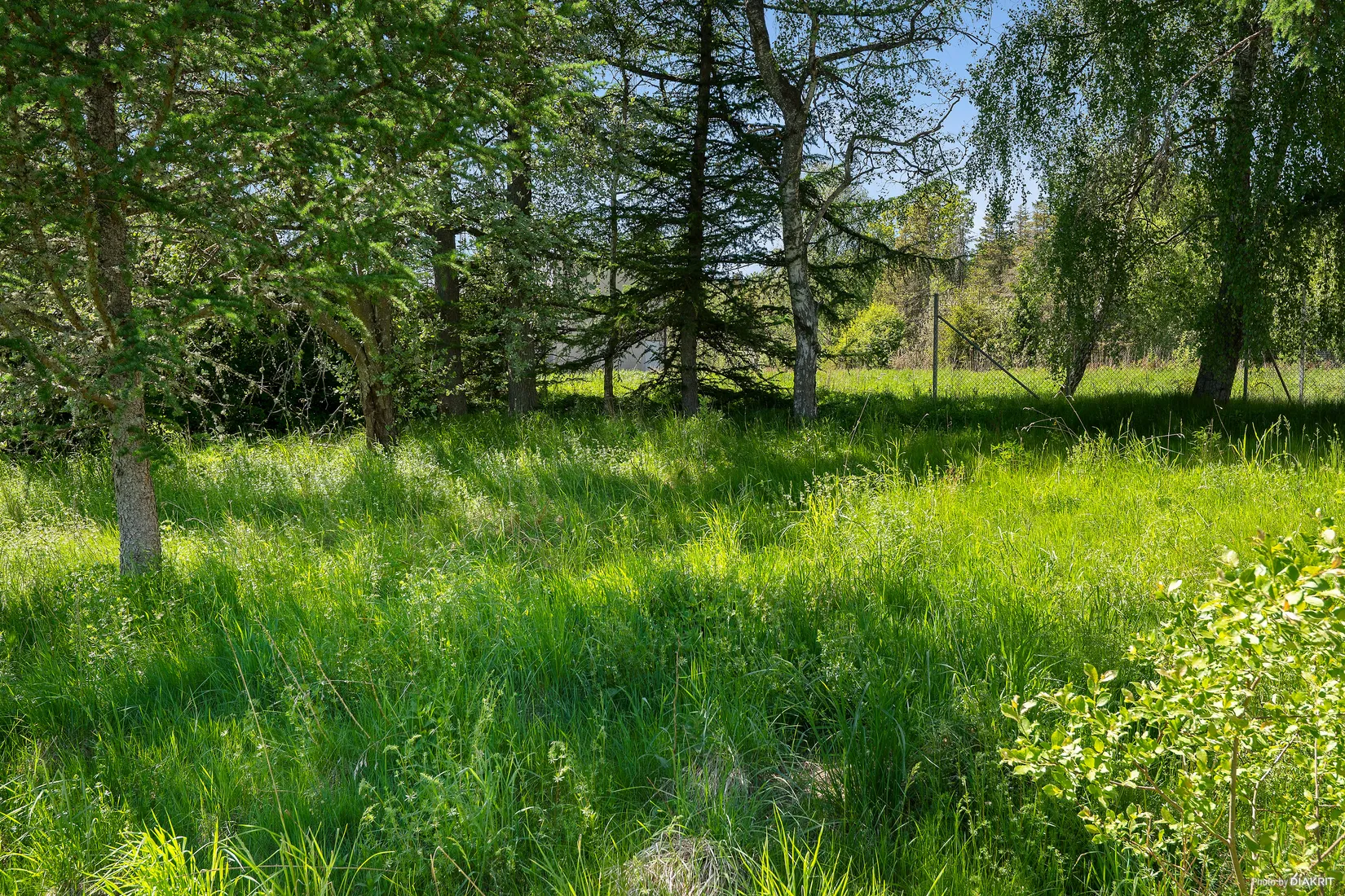 Tomt, Sjöhultsvägen 17, Åsljunga, Örkelljunga