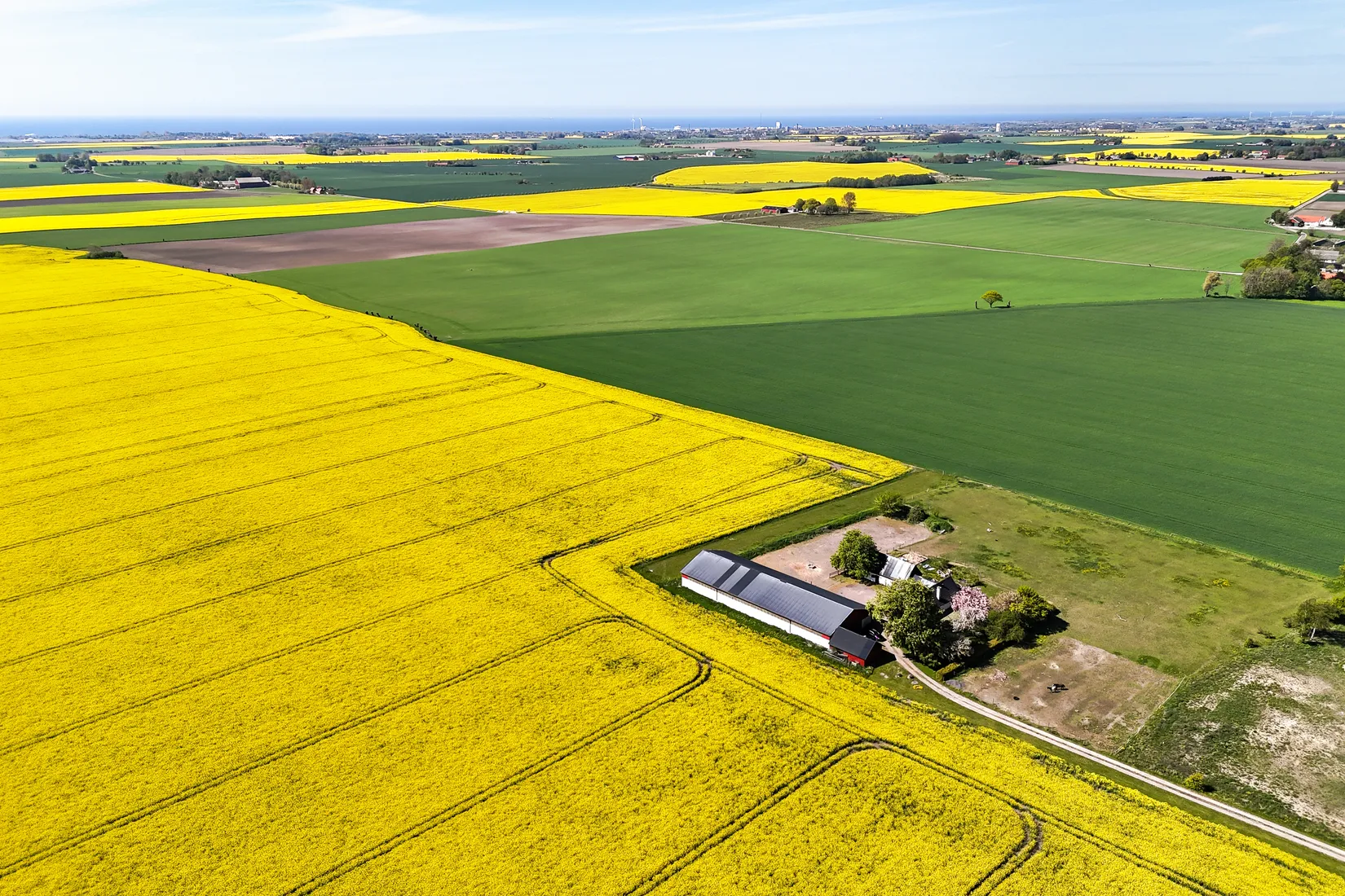 Gård/Skog, Västra Virestads byaväg 75-11, Västra Virestad, Trelleborg