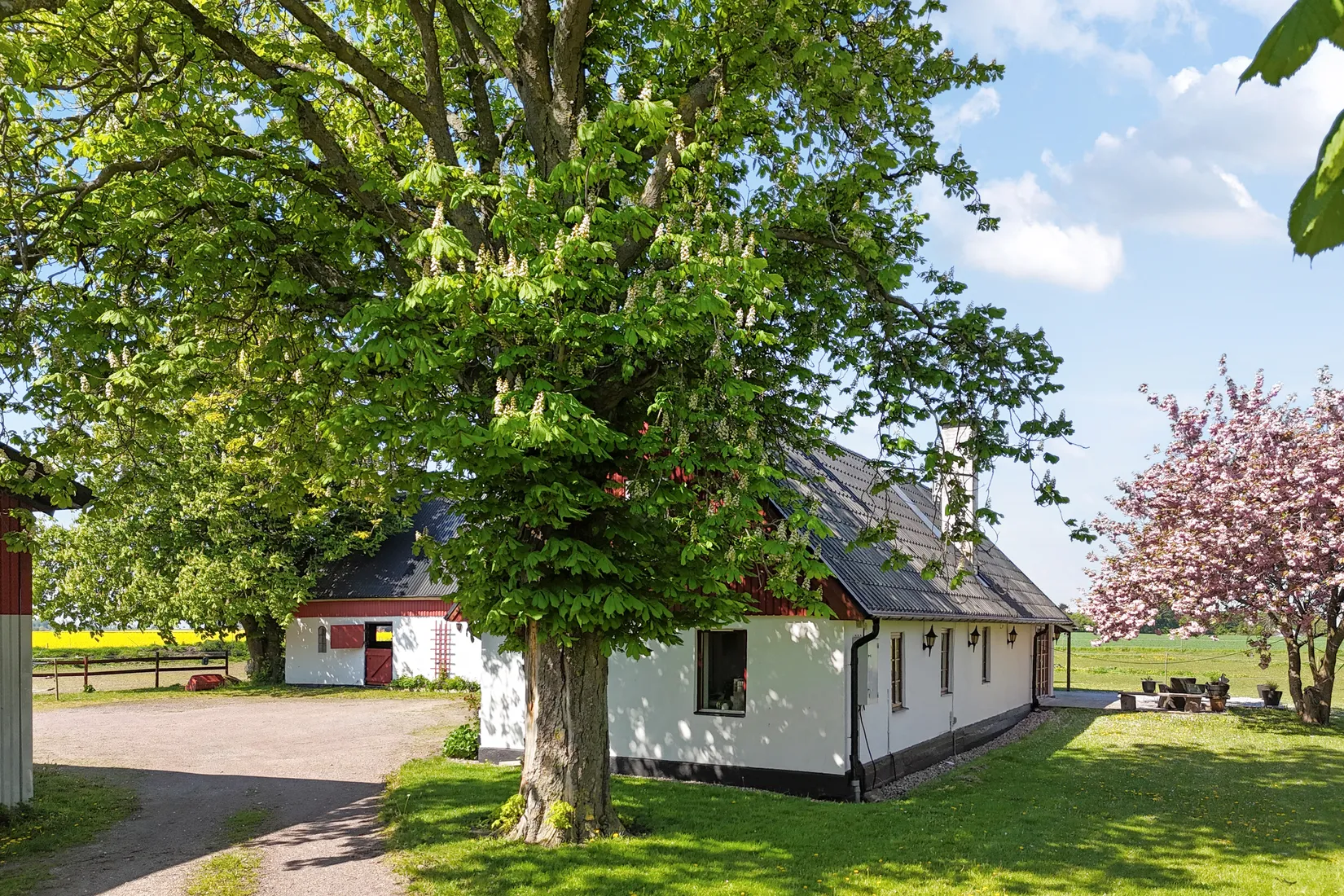 Gård/Skog, Västra Virestads byaväg 75-11, Västra Virestad, Trelleborg