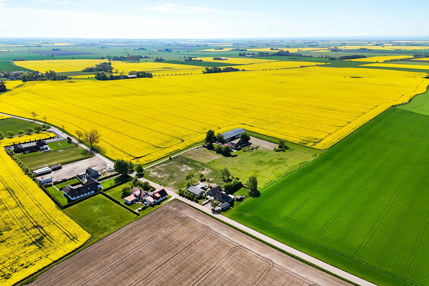 Gård/Skog, Västra Virestads byaväg 75-11, Västra Virestad, Trelleborg