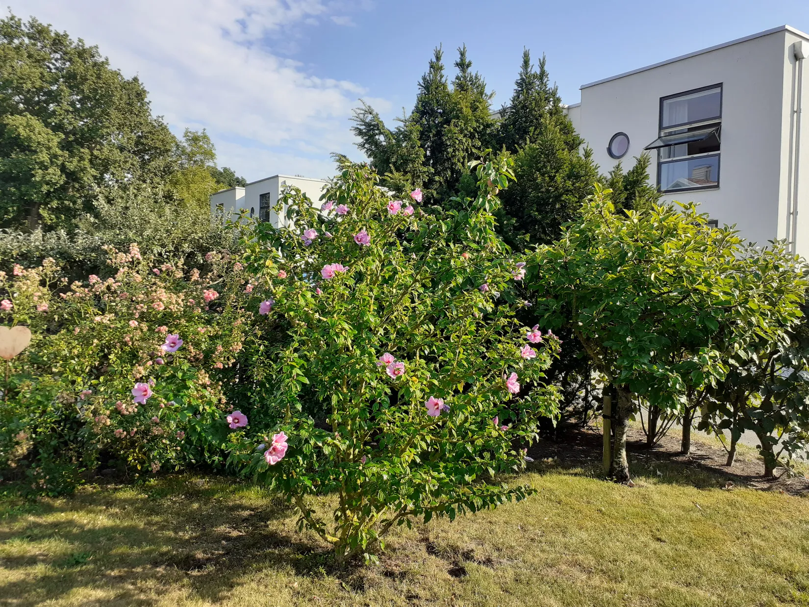 Bostadsrätt, Appelins Väg 6B, Höllviken, Vellinge