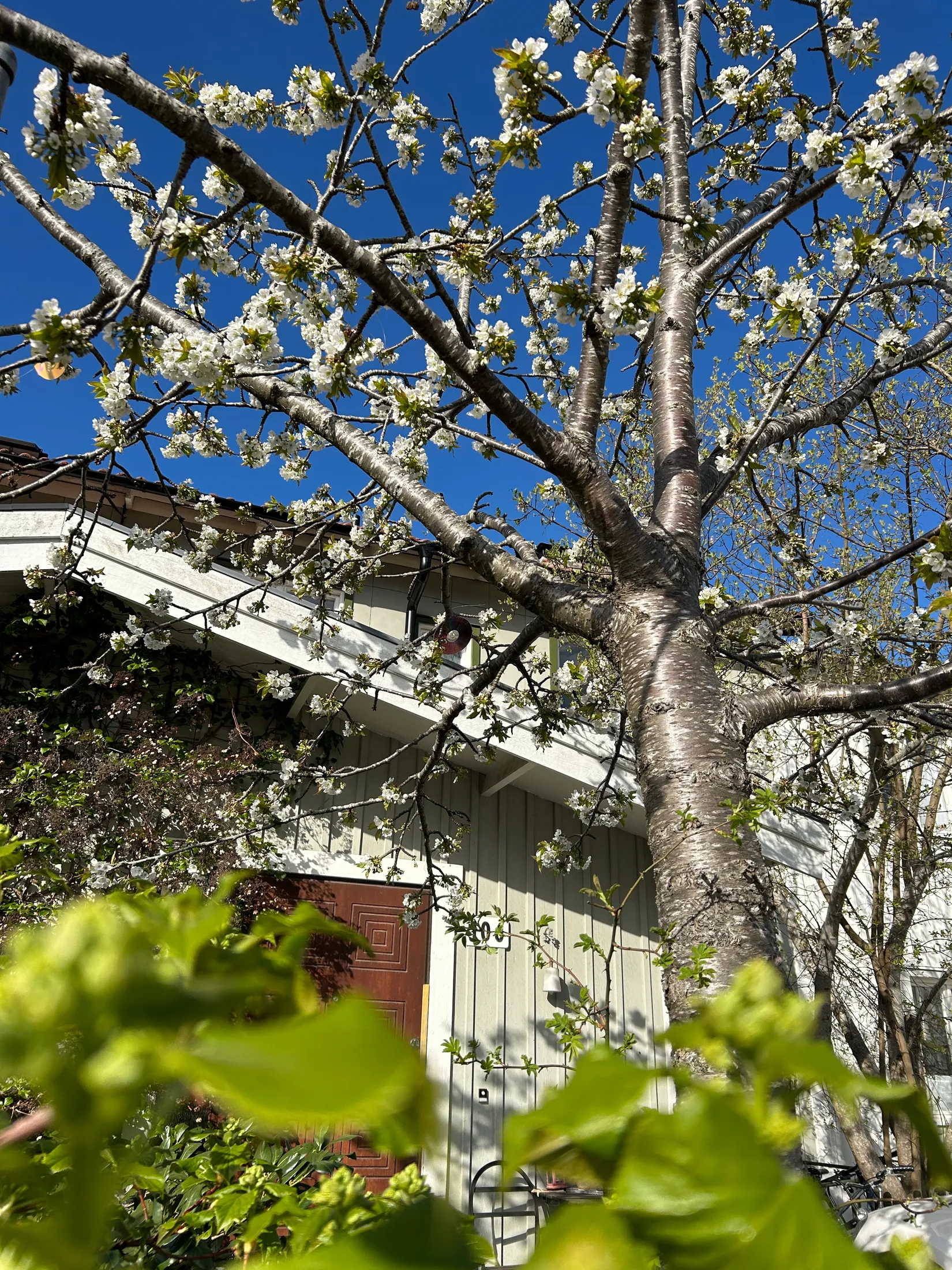 Villa, Radhus, Ljusnevägen 106, Bagarmossen, Stockholm