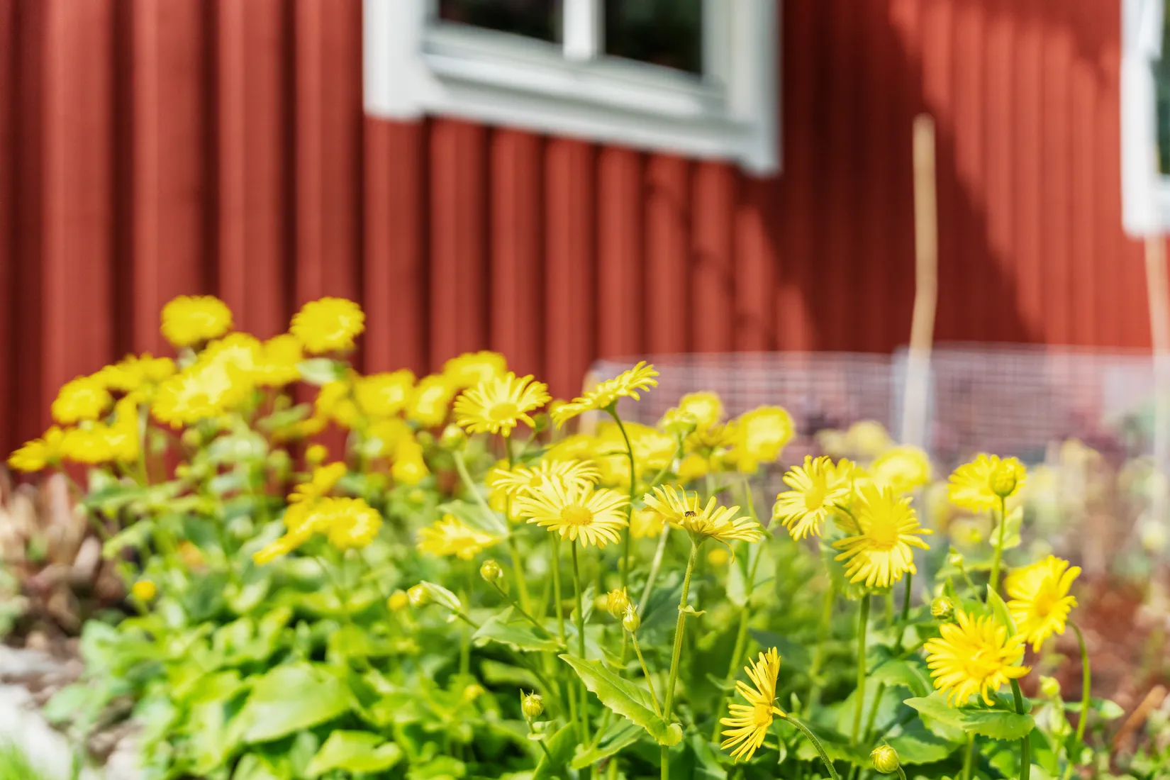 Villa, Larsbovägen 31, Söråker, Timrå