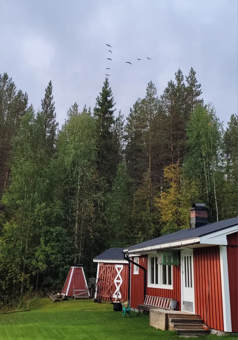 Fritidshus, Västra Ansvar 170, Överkalix