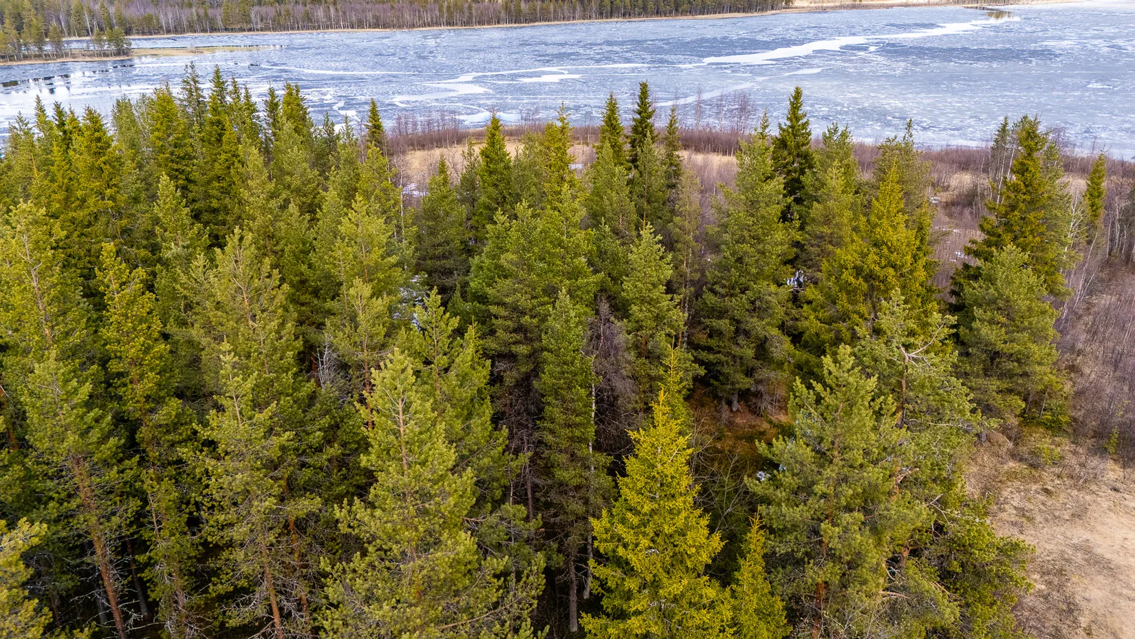 Gård/Skog, Nuuksujärvi 20, Pajala
