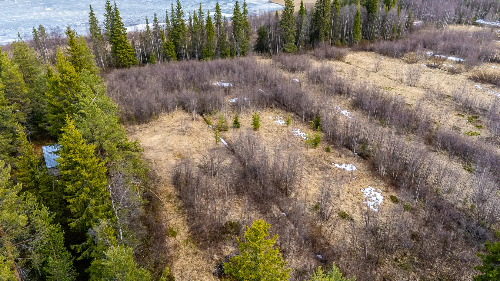 Gård/Skog, Nuuksujärvi 20, Pajala