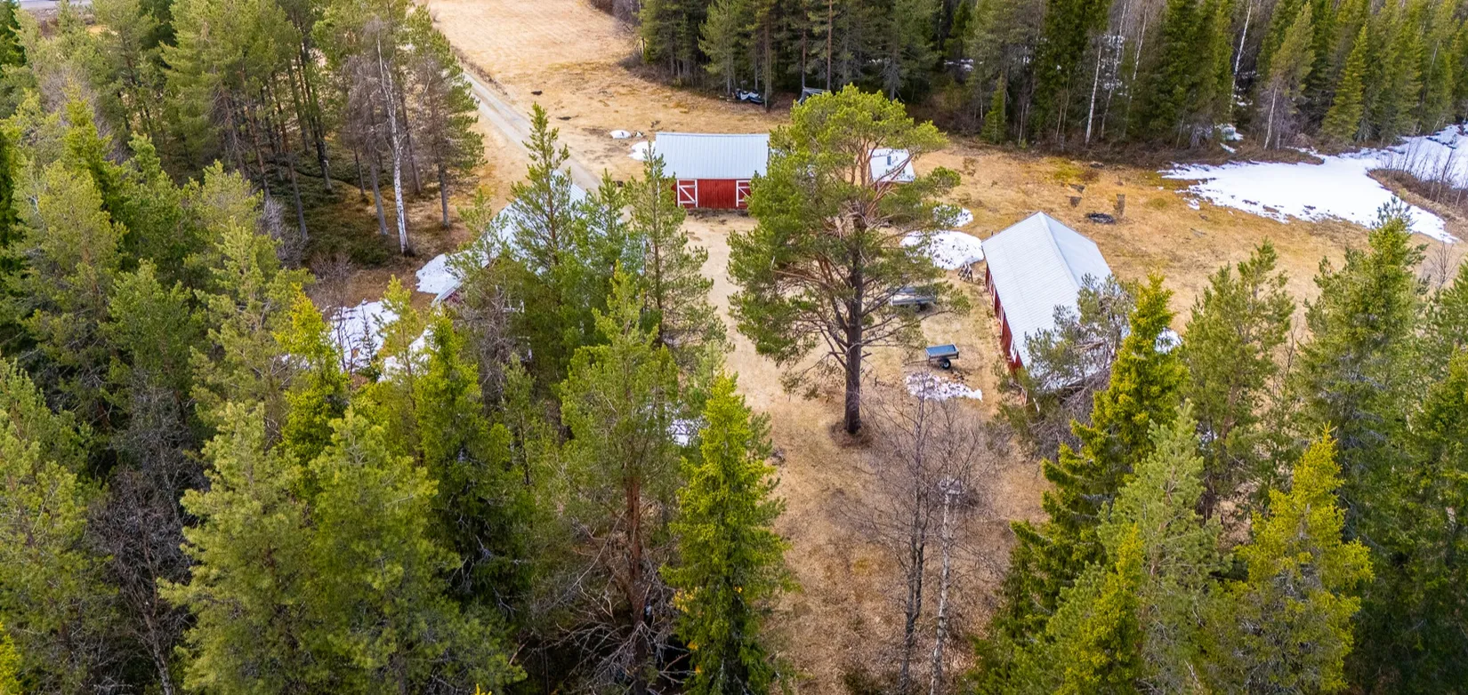Gård/Skog, Nuuksujärvi 20, Pajala