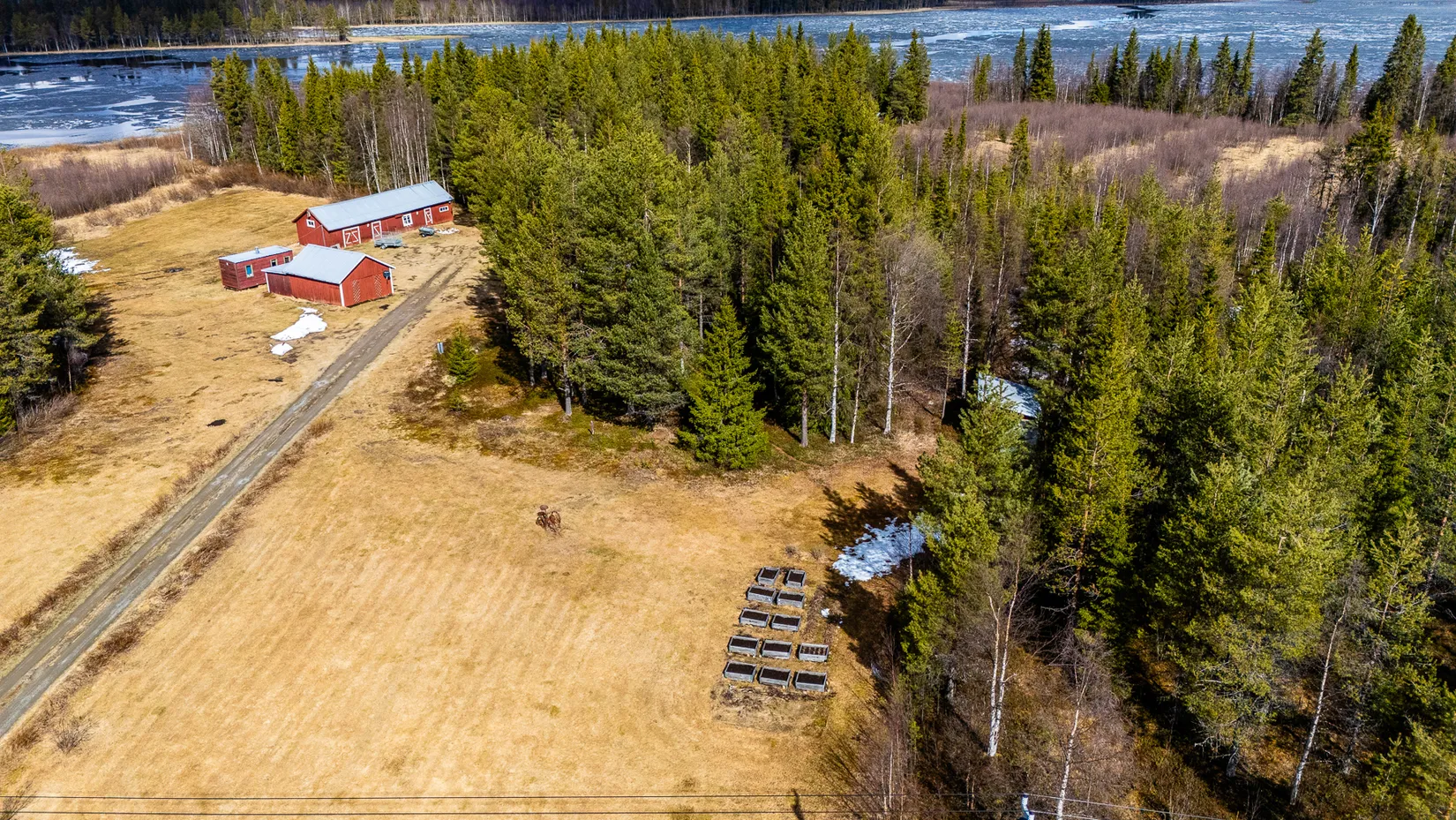 Gård/Skog, Nuuksujärvi 20, Pajala