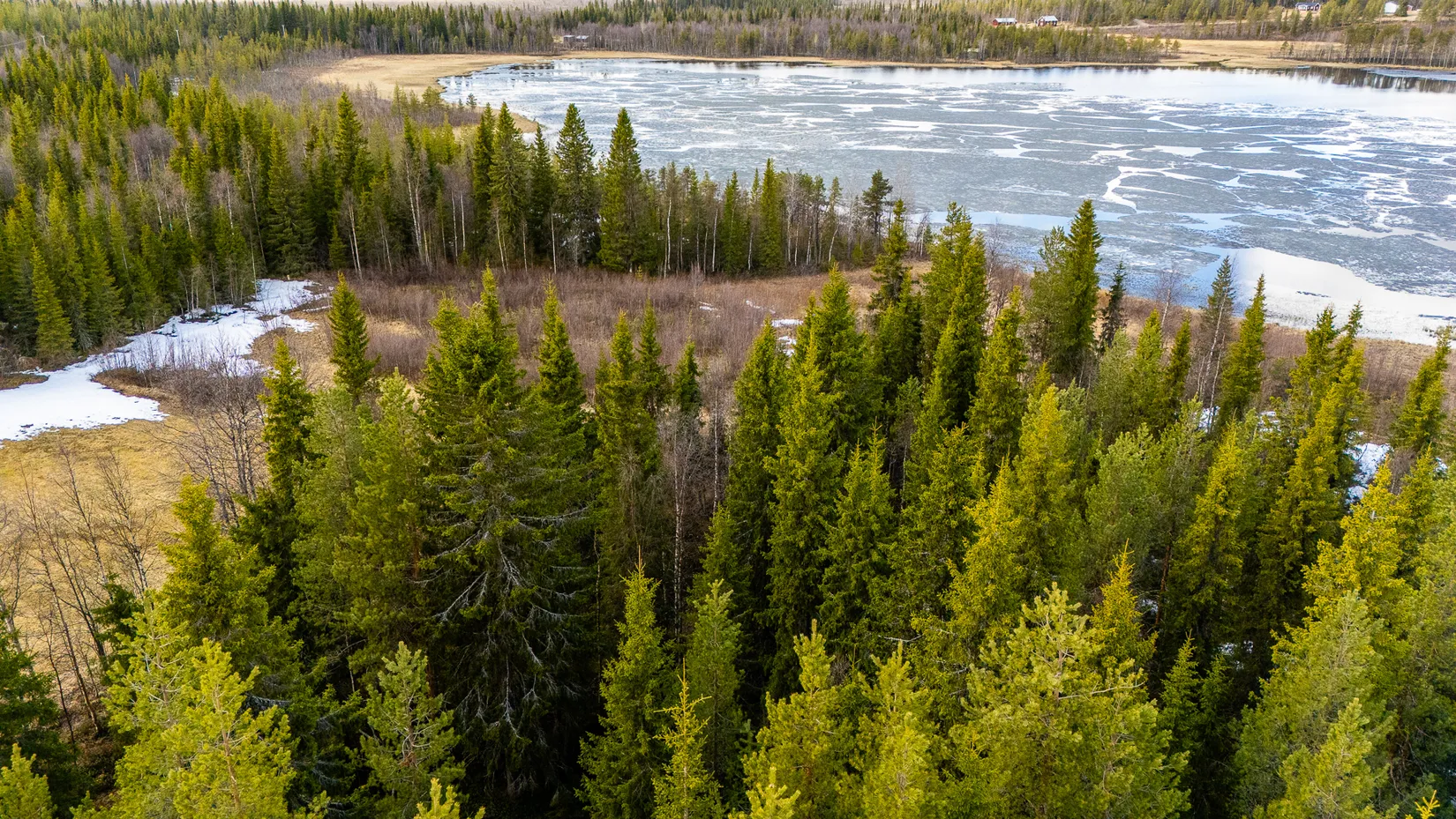 Gård/Skog, Nuuksujärvi 20, Pajala