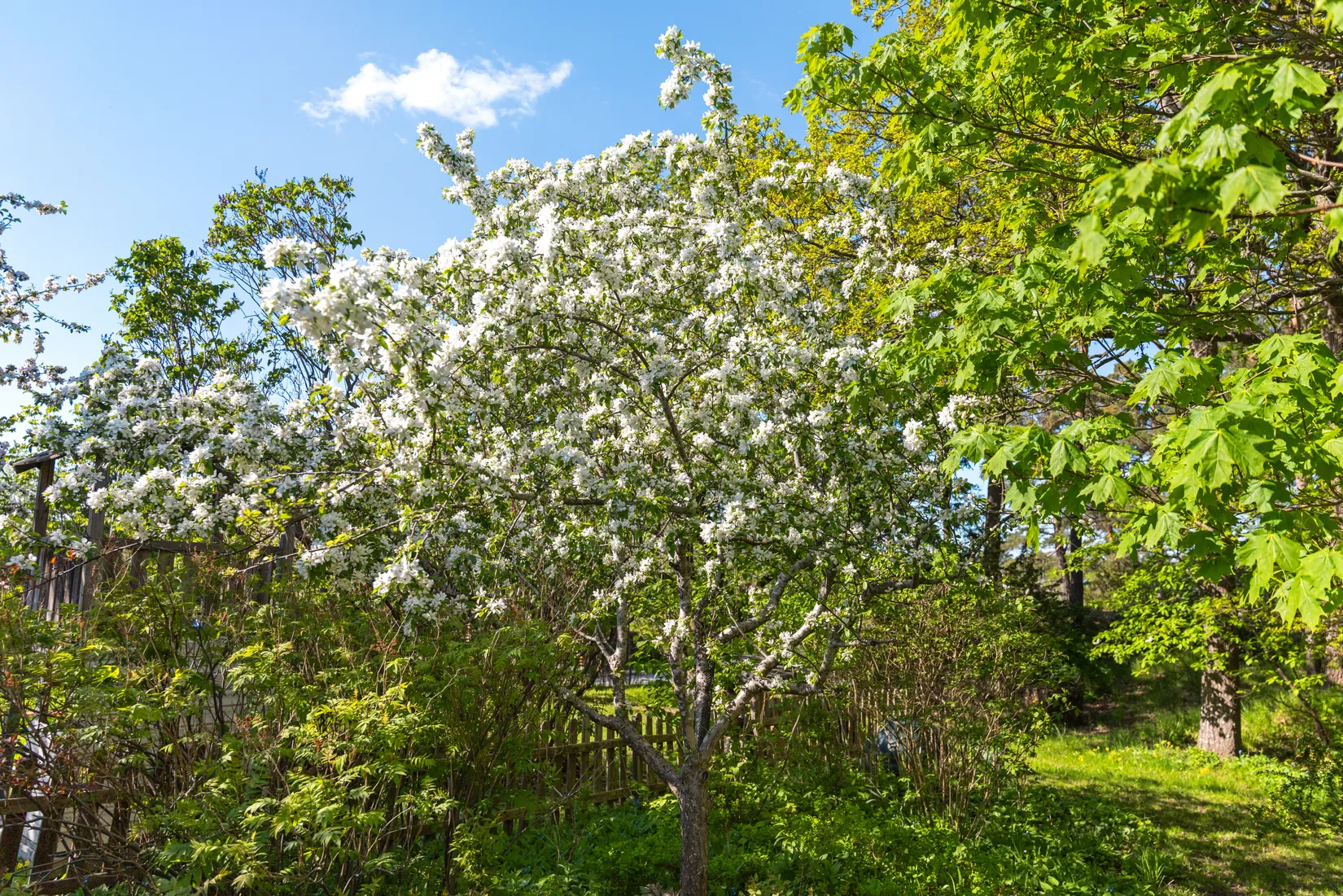 Radhus, Slåttervägen 12, Fårdala, Tyresö