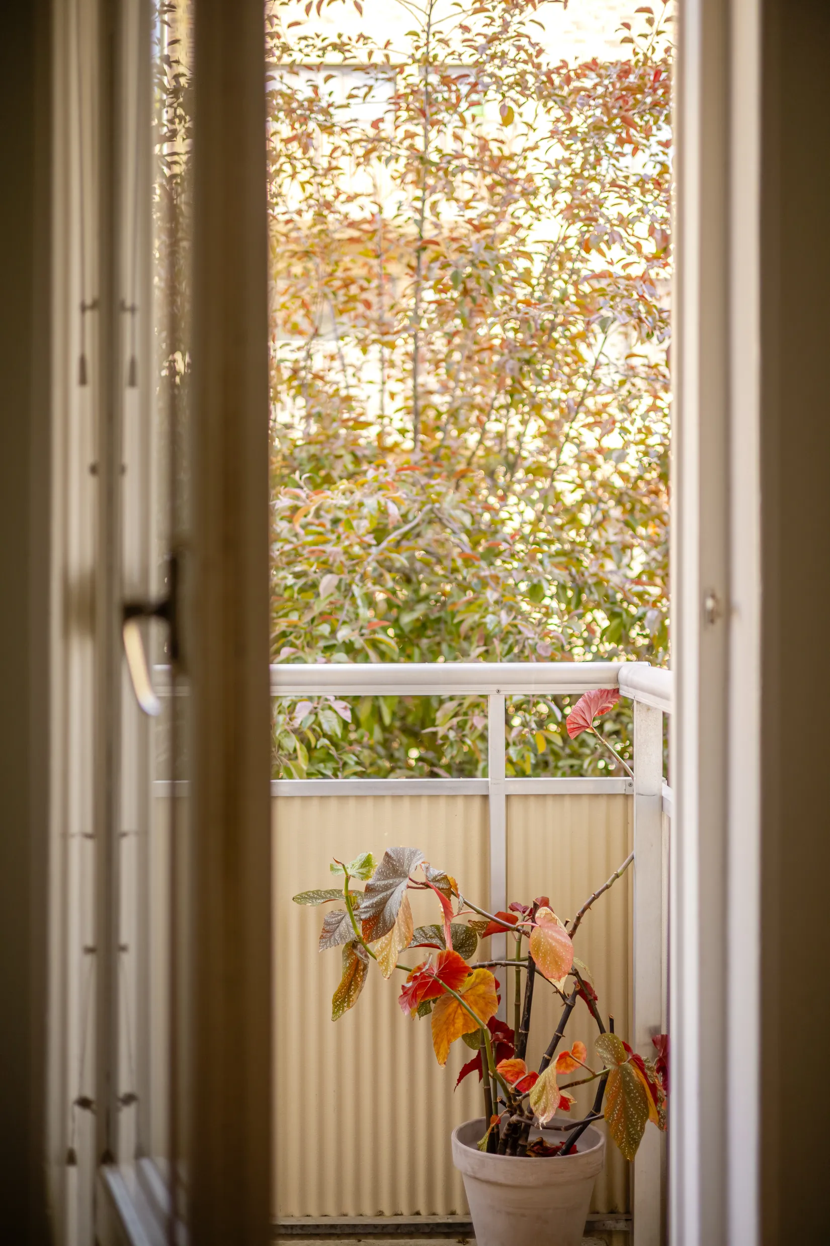 Bostadsrätt, Karlskronavägen 19, Björkhagen, Stockholm