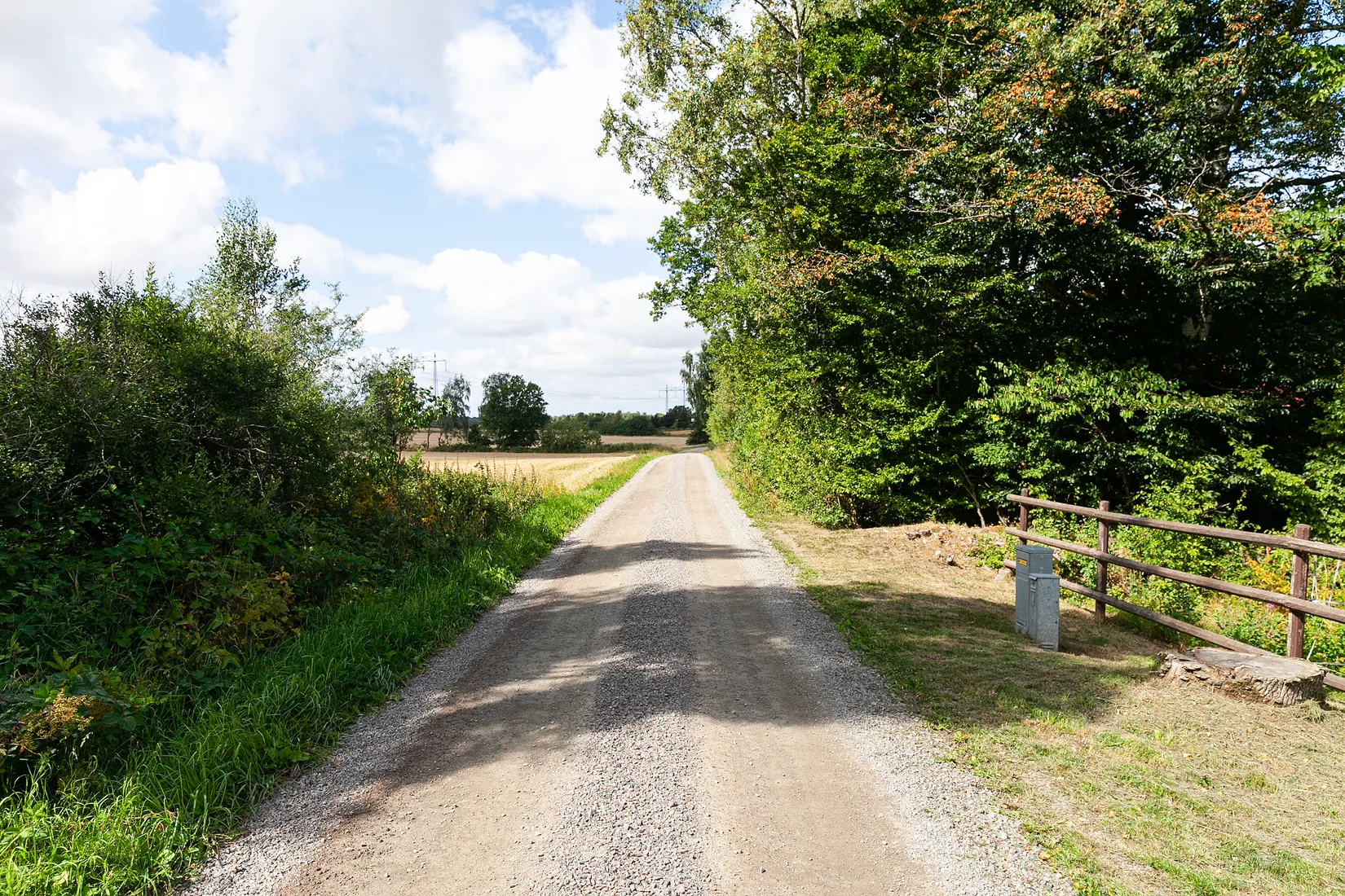 Gård/Skog, Jordbergavägen 15, Bjuv