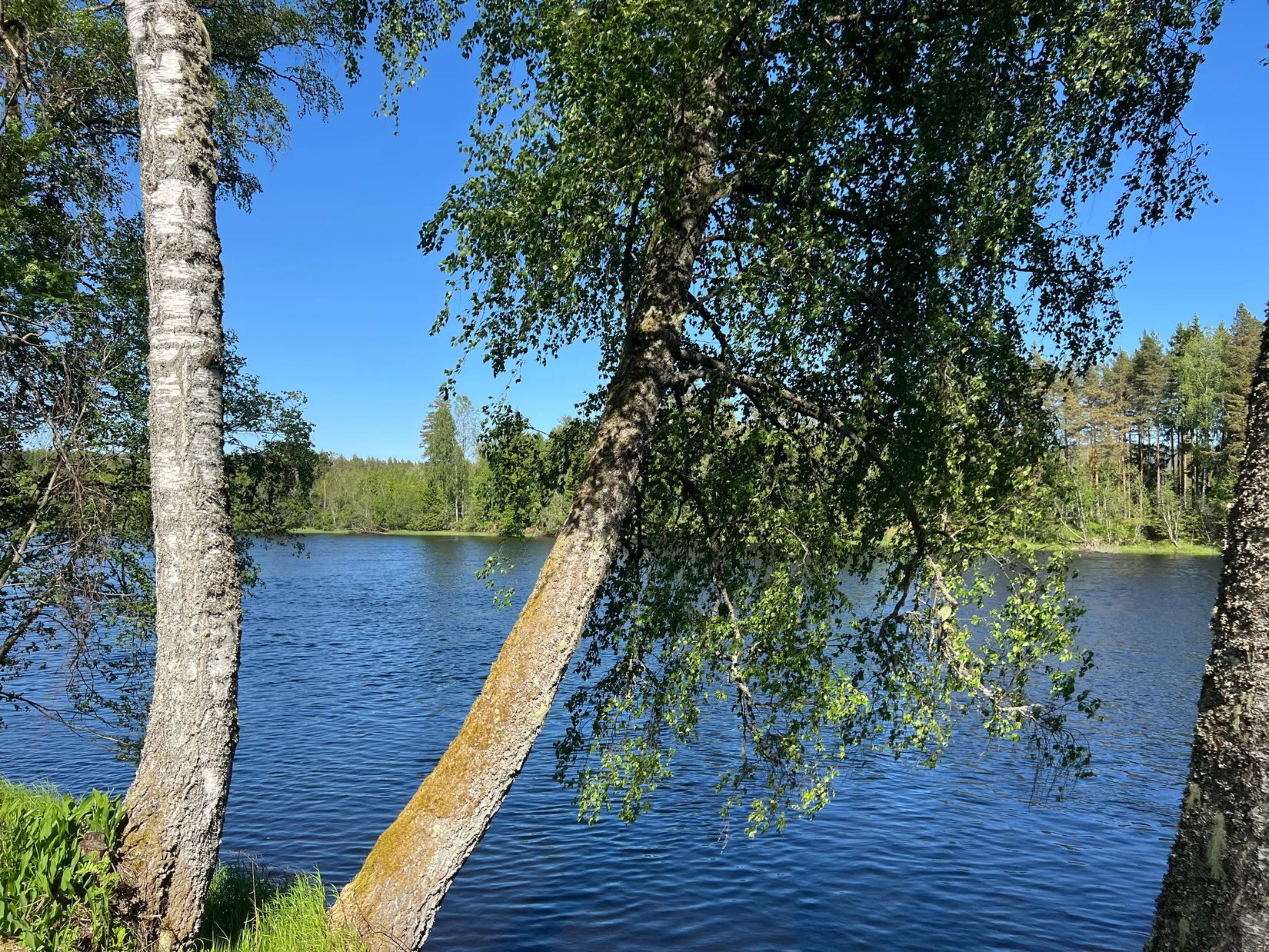 Gård/Skog, Västra Skymnäs Högheden 12, Hagfors