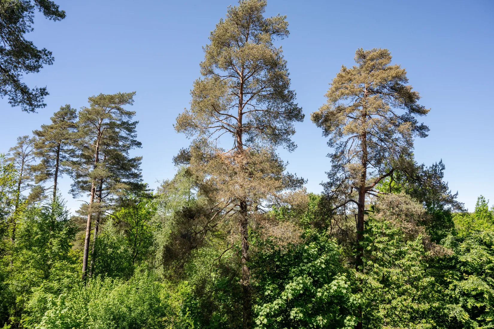 Bostadsrätt, Vindelgatan 28, Byttorp, Borås