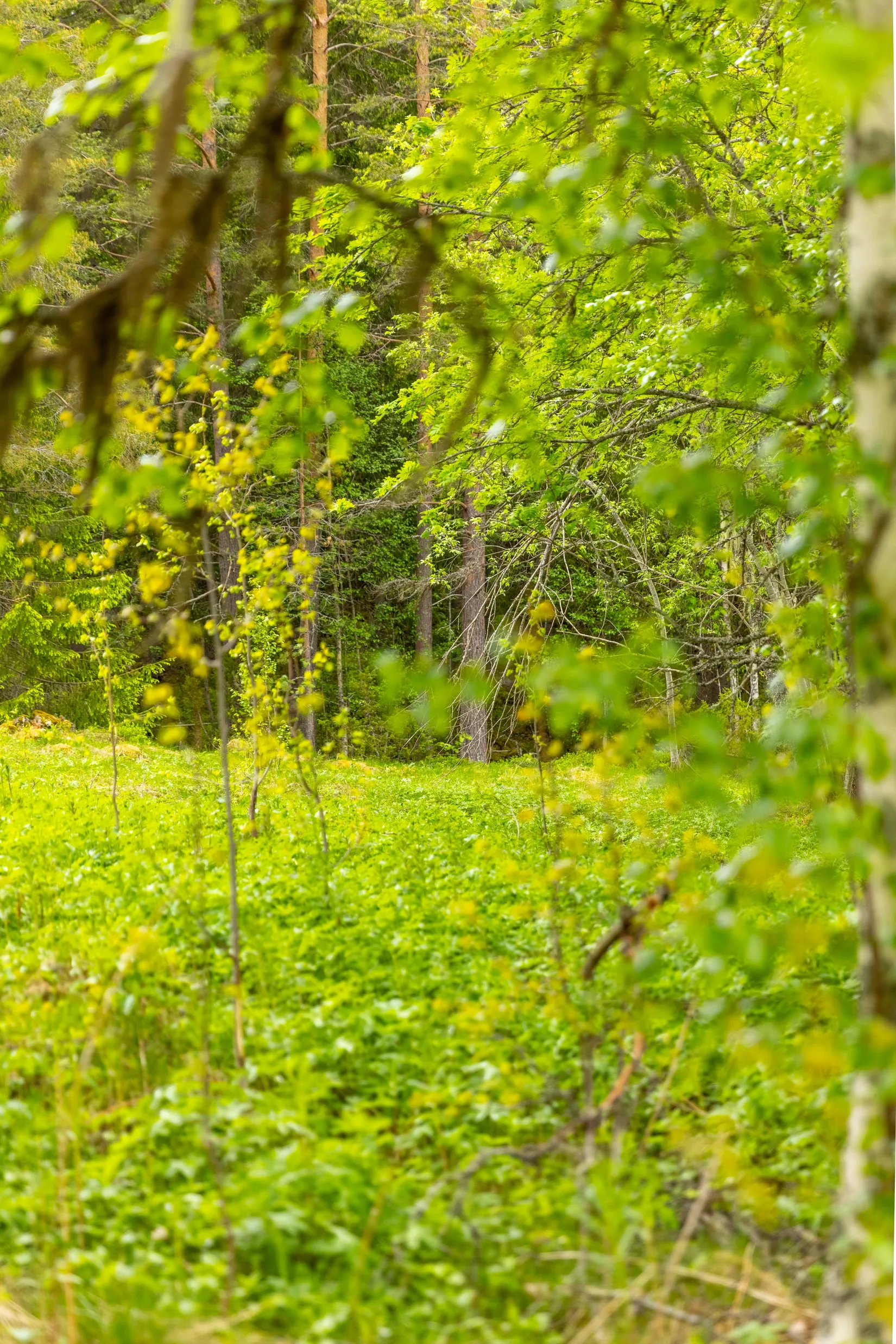 Fritidshus, Unntorp 128, Orsa