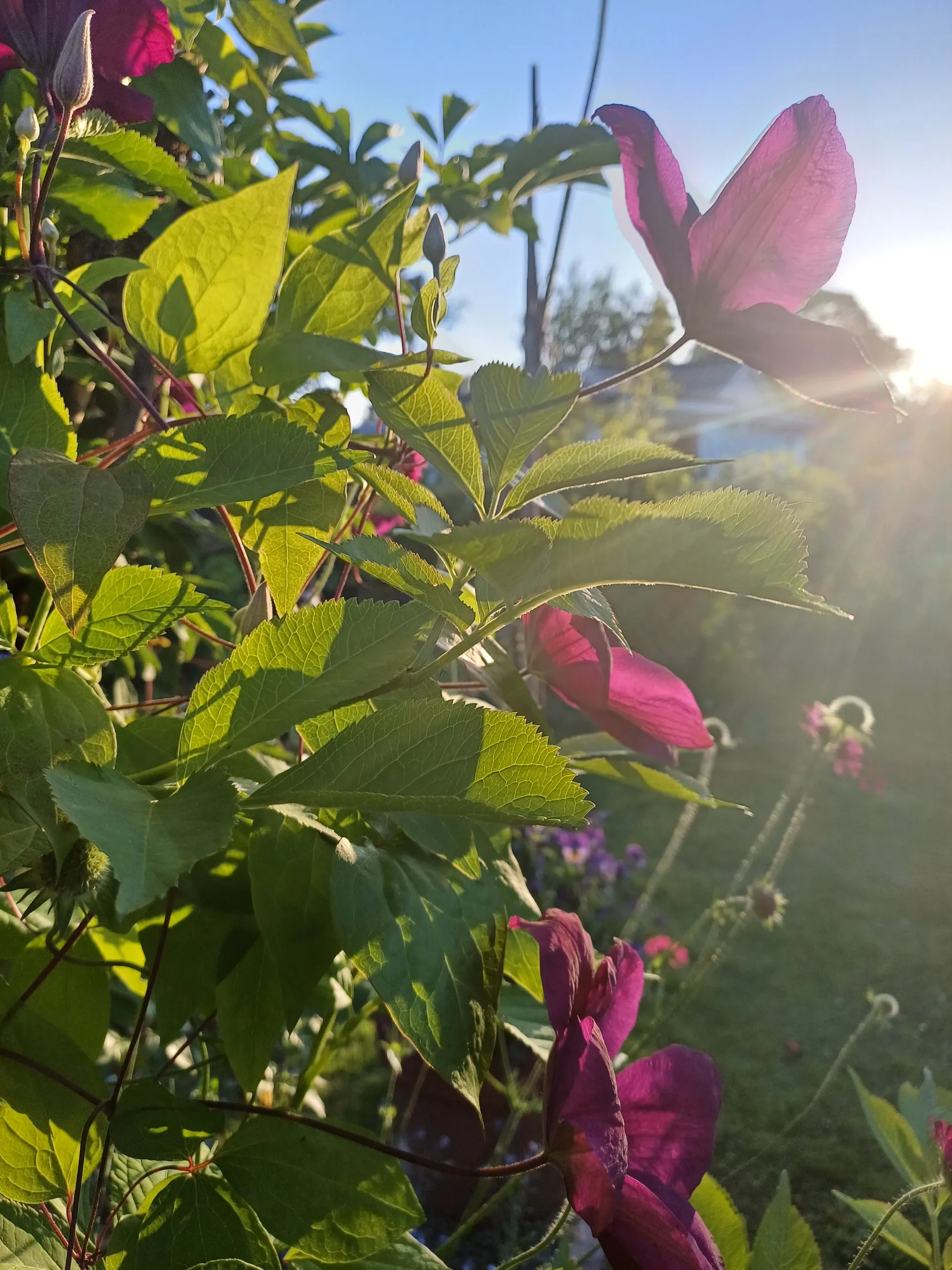 Fritidshus, Rönnvägen 102 Södra Kroppkärrs koloniområde, Karlstad