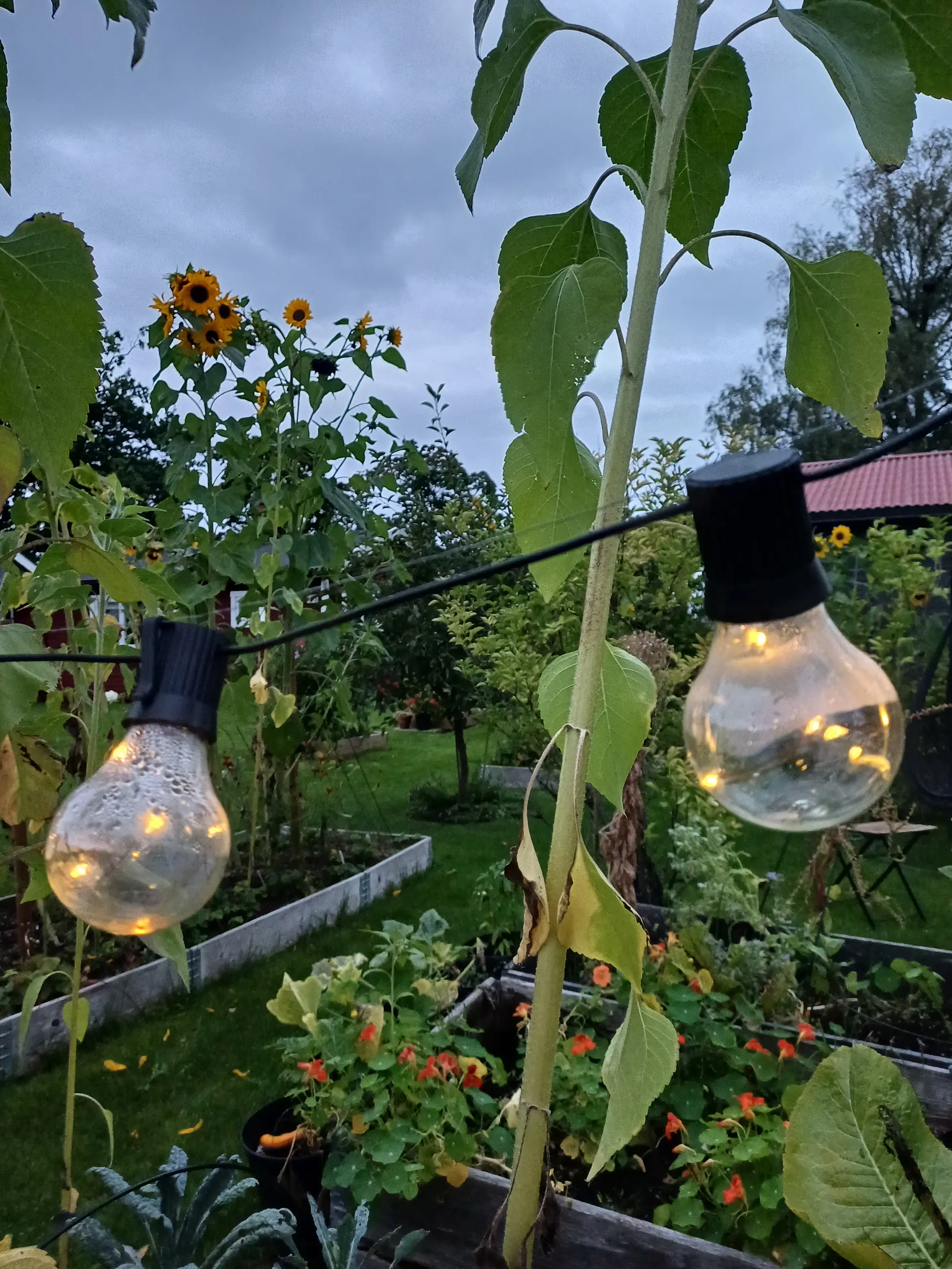 Fritidshus, Rönnvägen 102 Södra Kroppkärrs koloniområde, Karlstad
