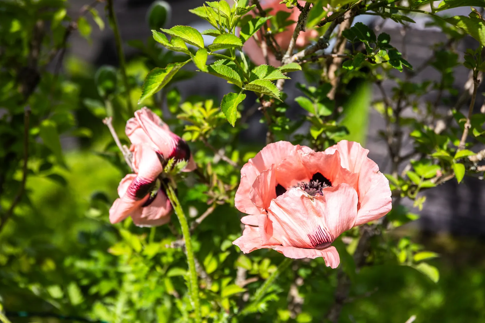 Fritidshus, Rönnvägen 102 Södra Kroppkärrs koloniområde, Karlstad