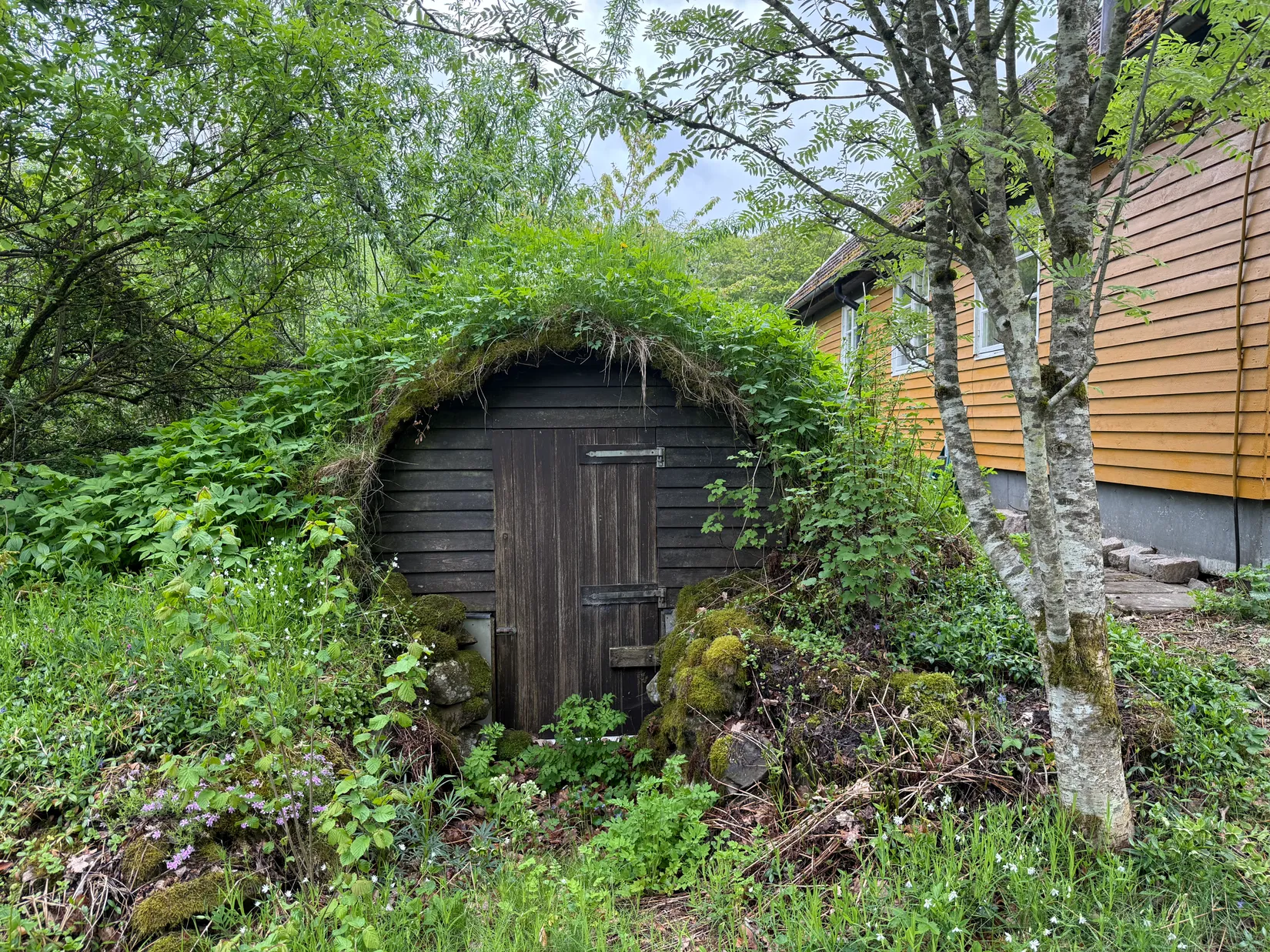 Villa, Sonarpsängar 769, Svalöv