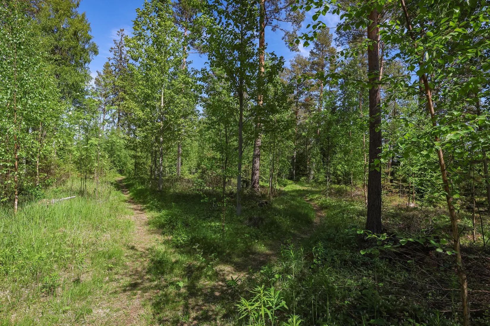 Villa, Rotvägen 1, Bergeforsen, Timrå