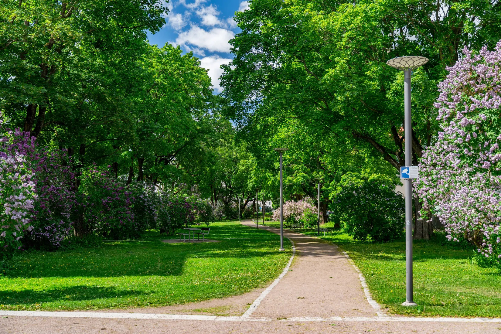 Bostadsrätt, Salagatan 55C, Fålhagen, Uppsala