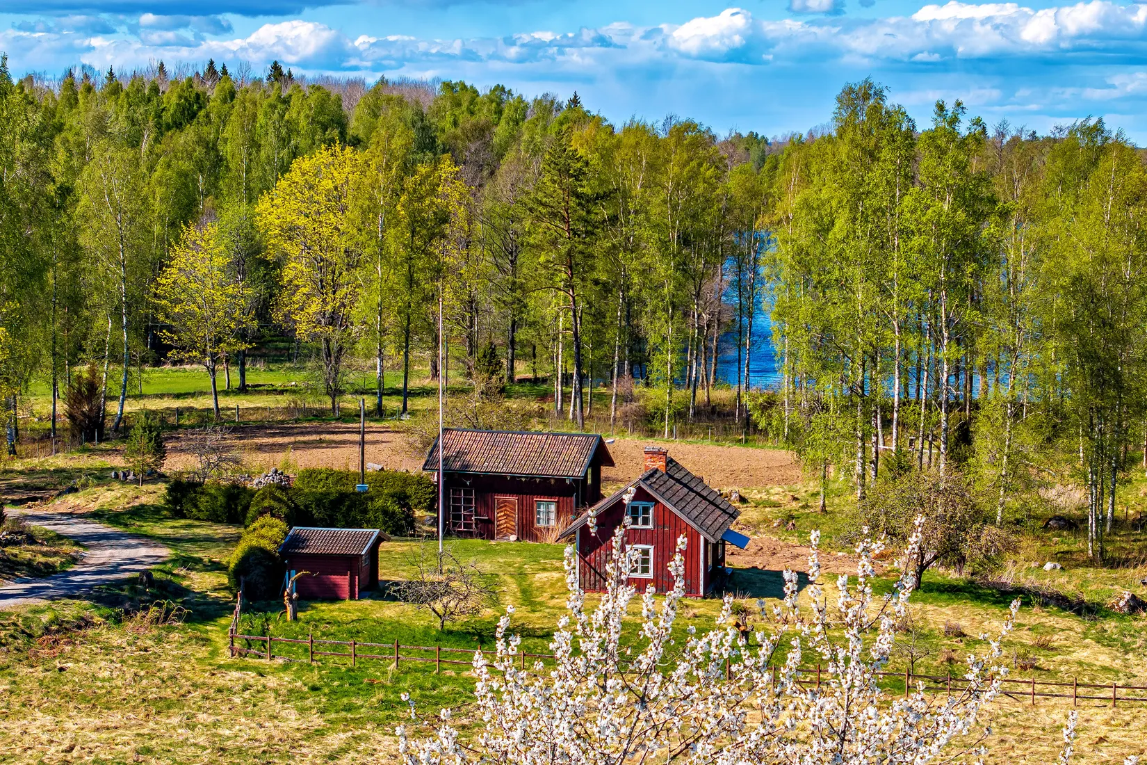 Gård/Skog, Öjetorp 671, Mariedamm, Askersund