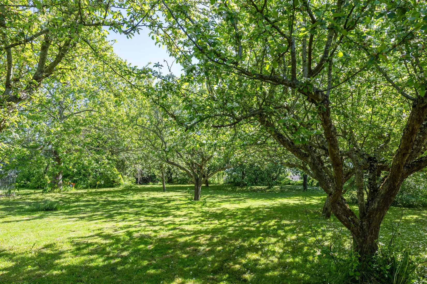 Villa, Ingelstorps mossaväg 84-22, Ingelstorp, Ystad