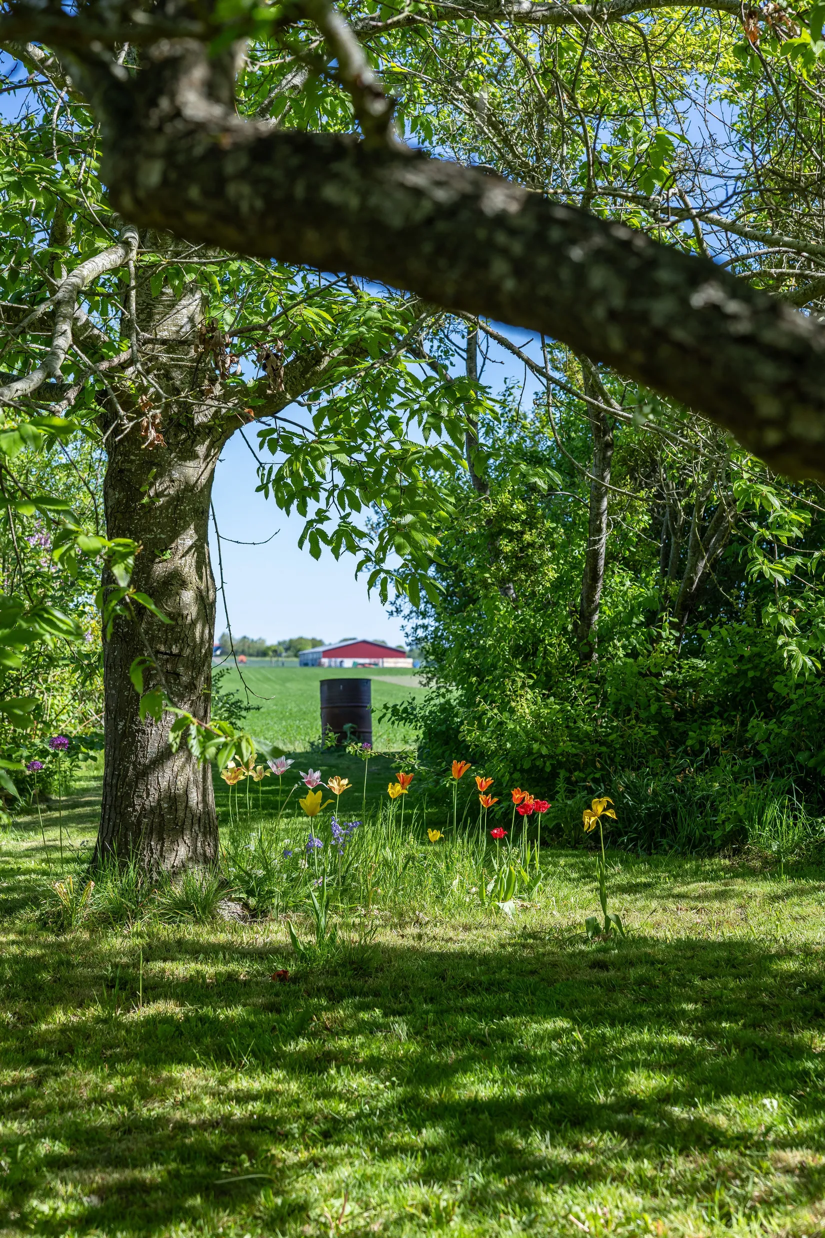 Villa, Ingelstorps mossaväg 84-22, Ingelstorp, Ystad