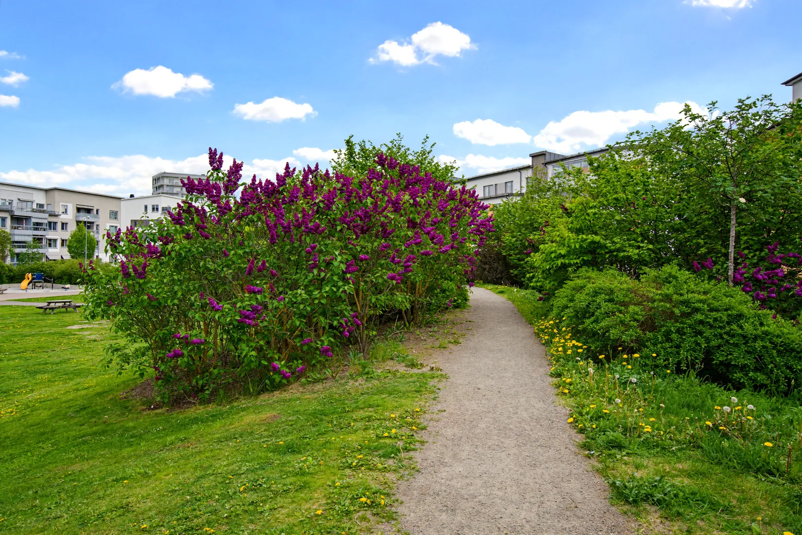 Bostadsrätt, Blandargatan 8, Luthagen, Uppsala