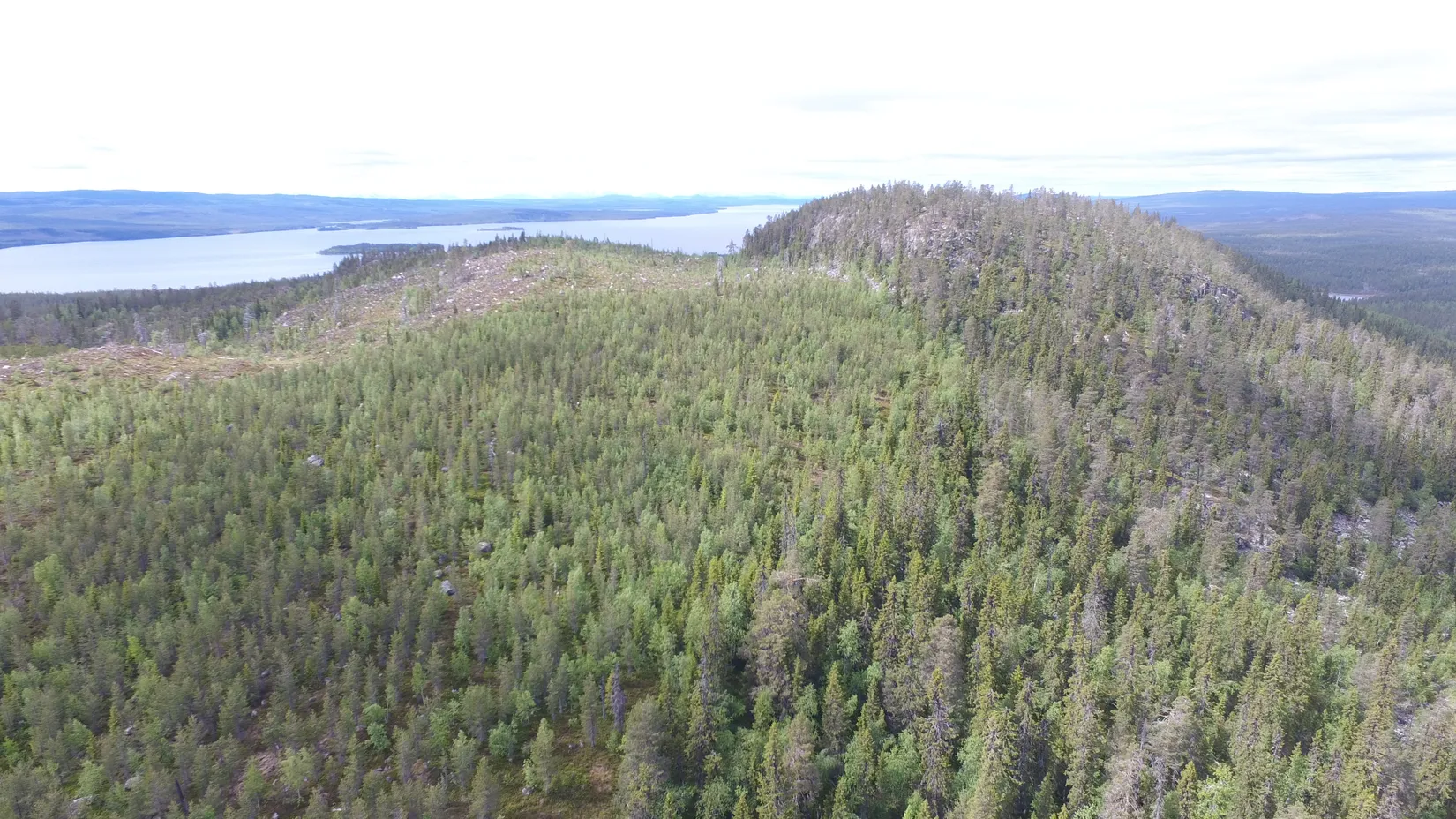Gård/Skog, Sördal 112, Storuman