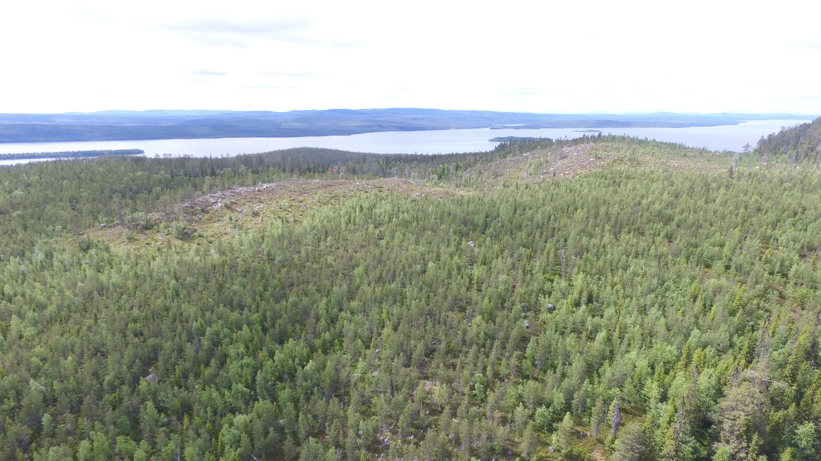 Gård/Skog, Sördal 112, Storuman