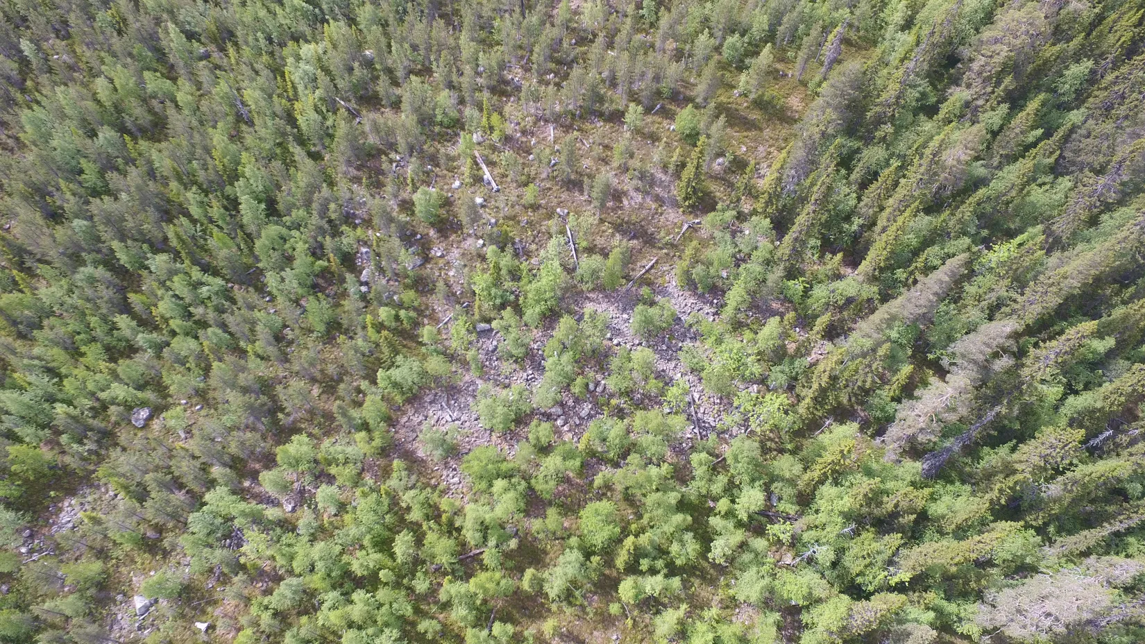 Gård/Skog, Sördal 112, Storuman